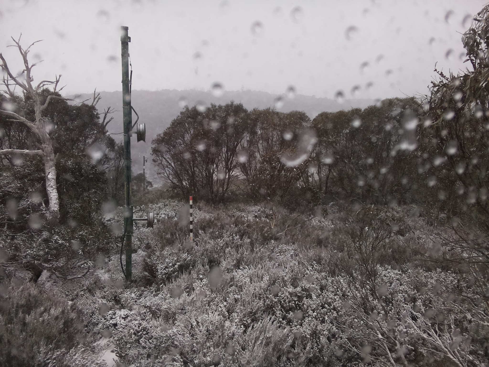 Bogong Web Cam 10:00am Wednesday 4th of June 2025