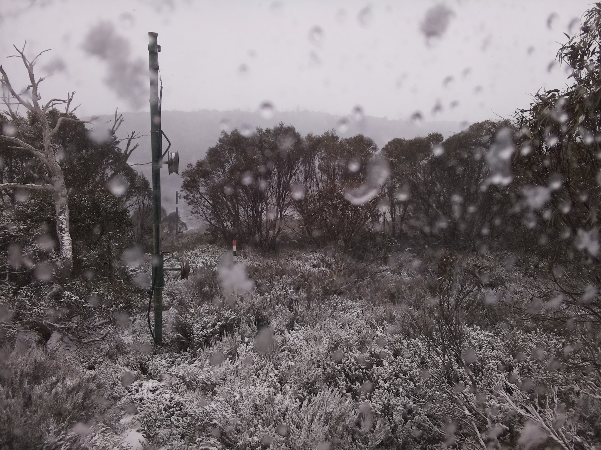 Bogong Web Cam 11:00am Wednesday 4th of June 2025