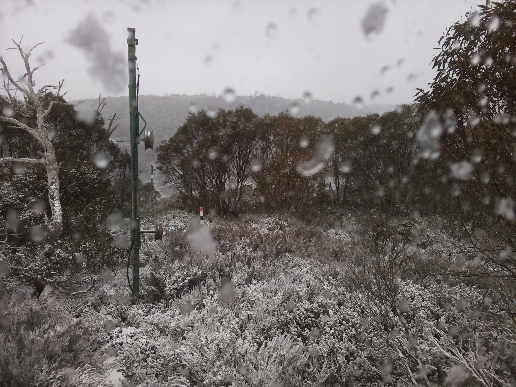 Bogong Web Cam 11:10am Wednesday 4th of June 2025