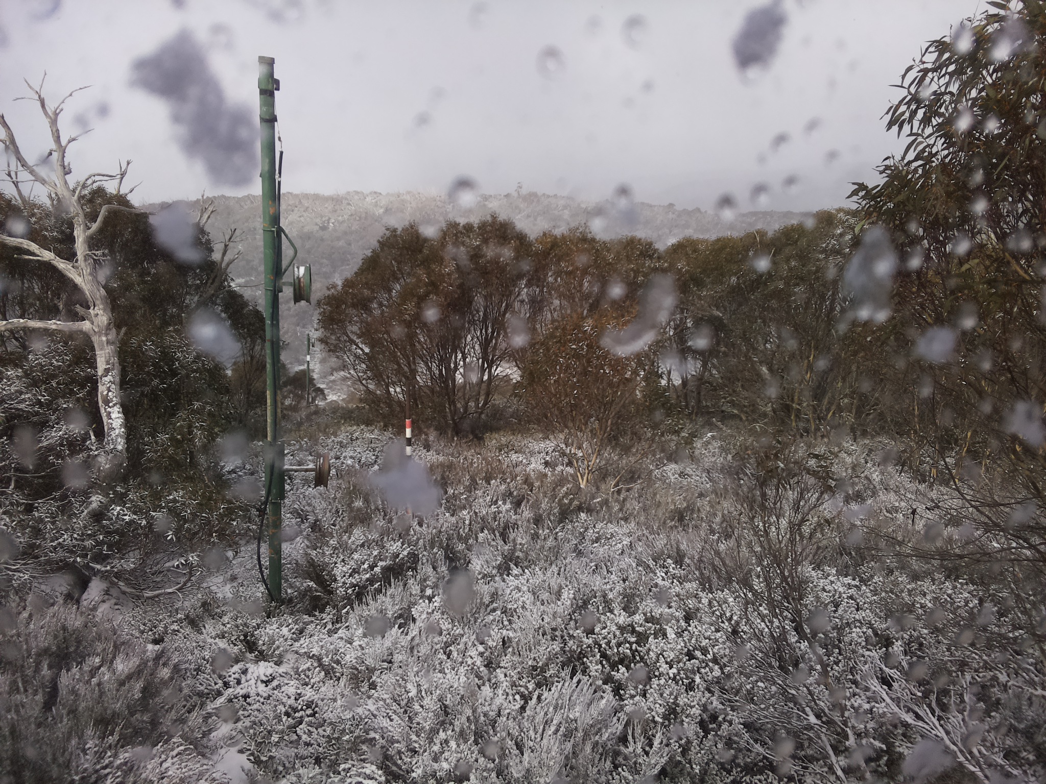 Bogong Web Cam 11:20am Wednesday 4th of June 2025