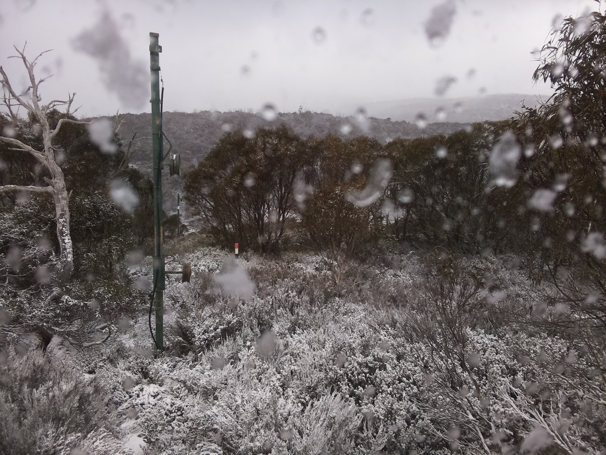 Bogong Web Cam 11:40am Wednesday 4th of June 2025