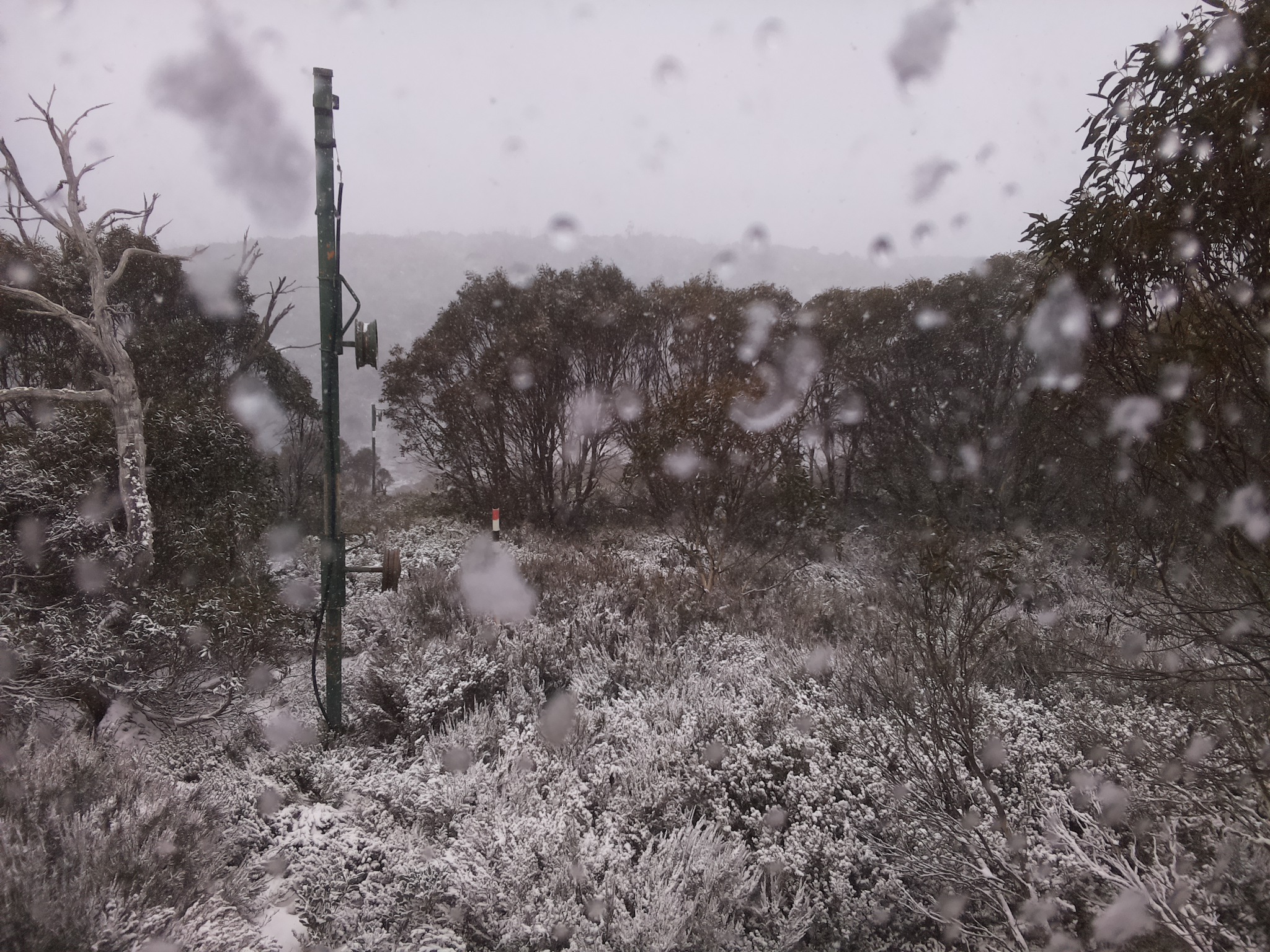 Bogong Web Cam 12:10pm Wednesday 4th of June 2025