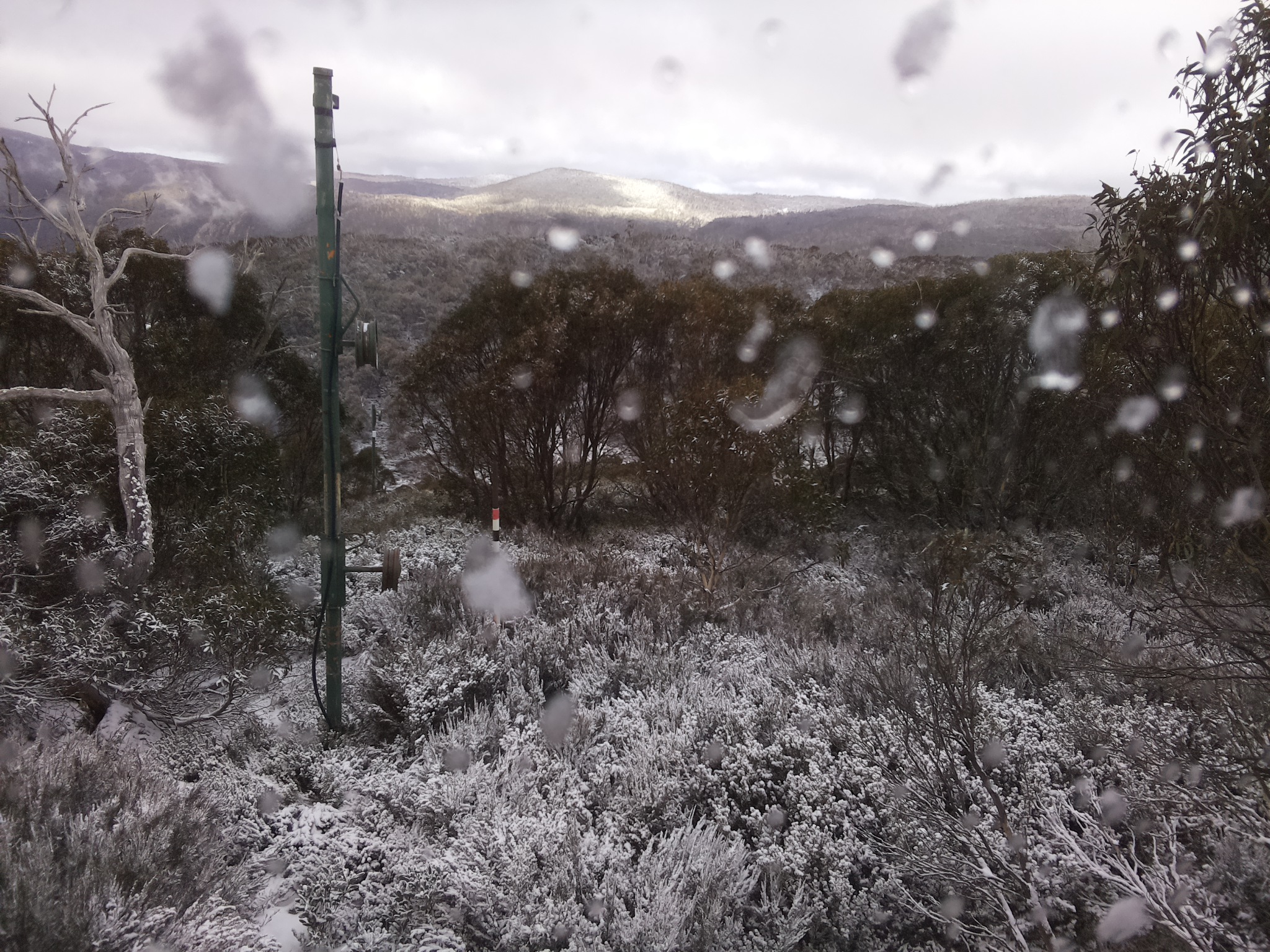 Bogong Web Cam 12:50pm Wednesday 4th of June 2025