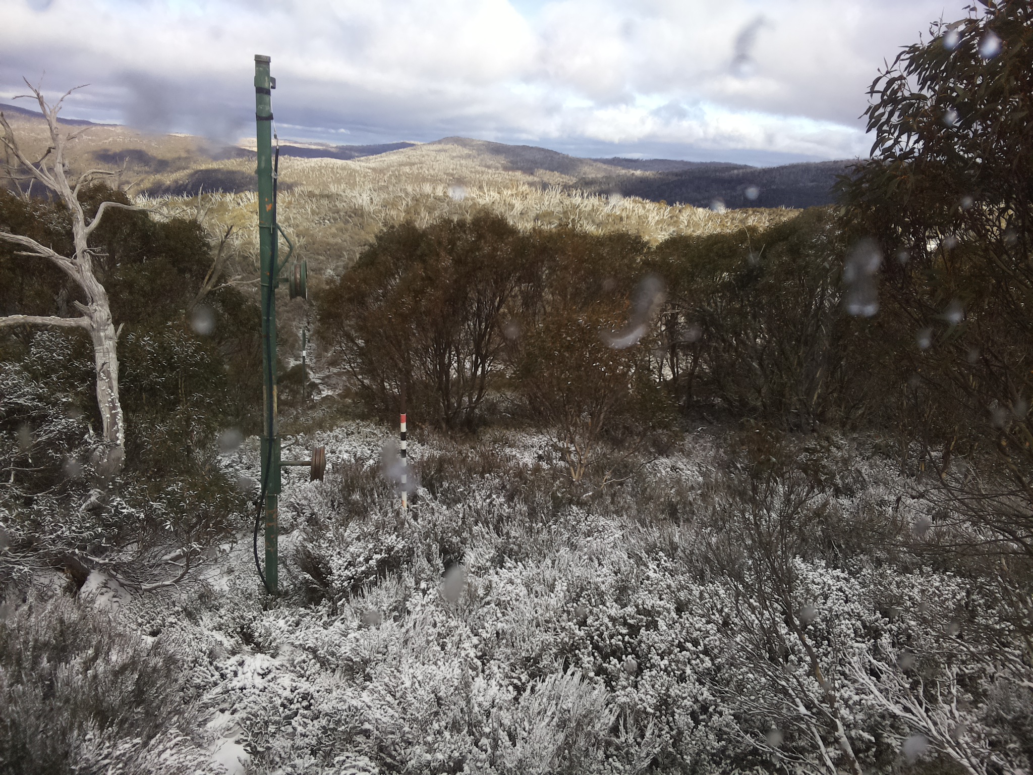 Bogong Web Cam 2:50pm Wednesday 4th of June 2025