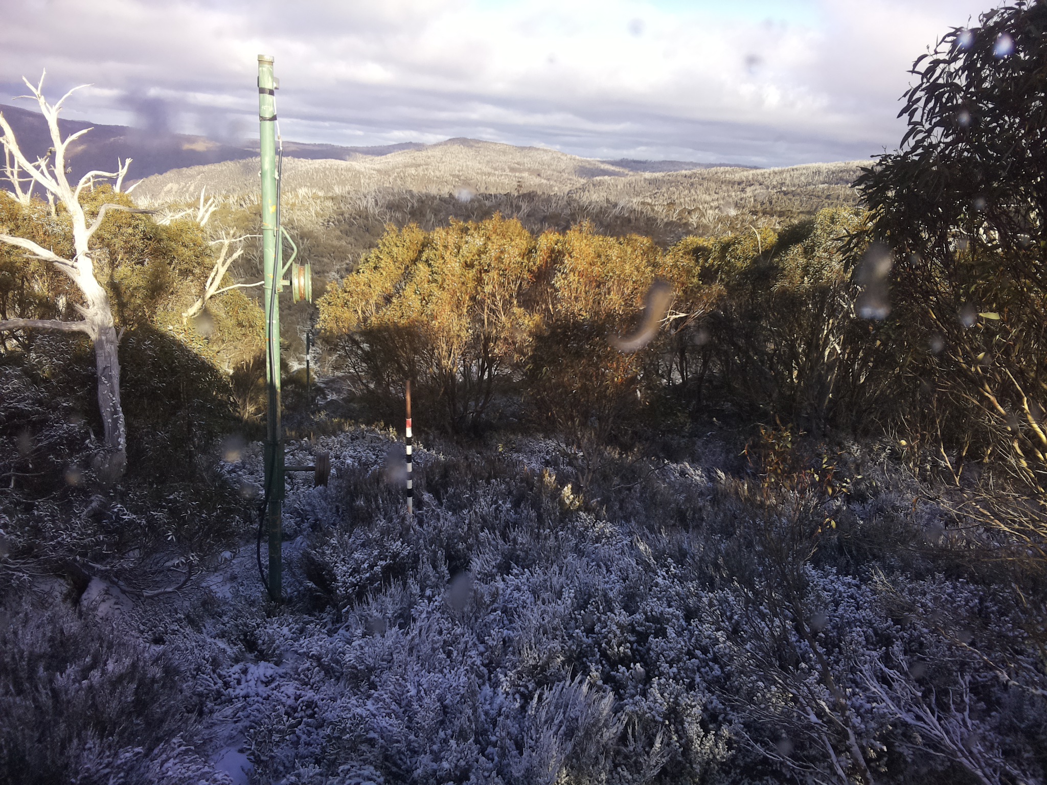 Bogong Web Cam 3:10pm Wednesday 4th of June 2025