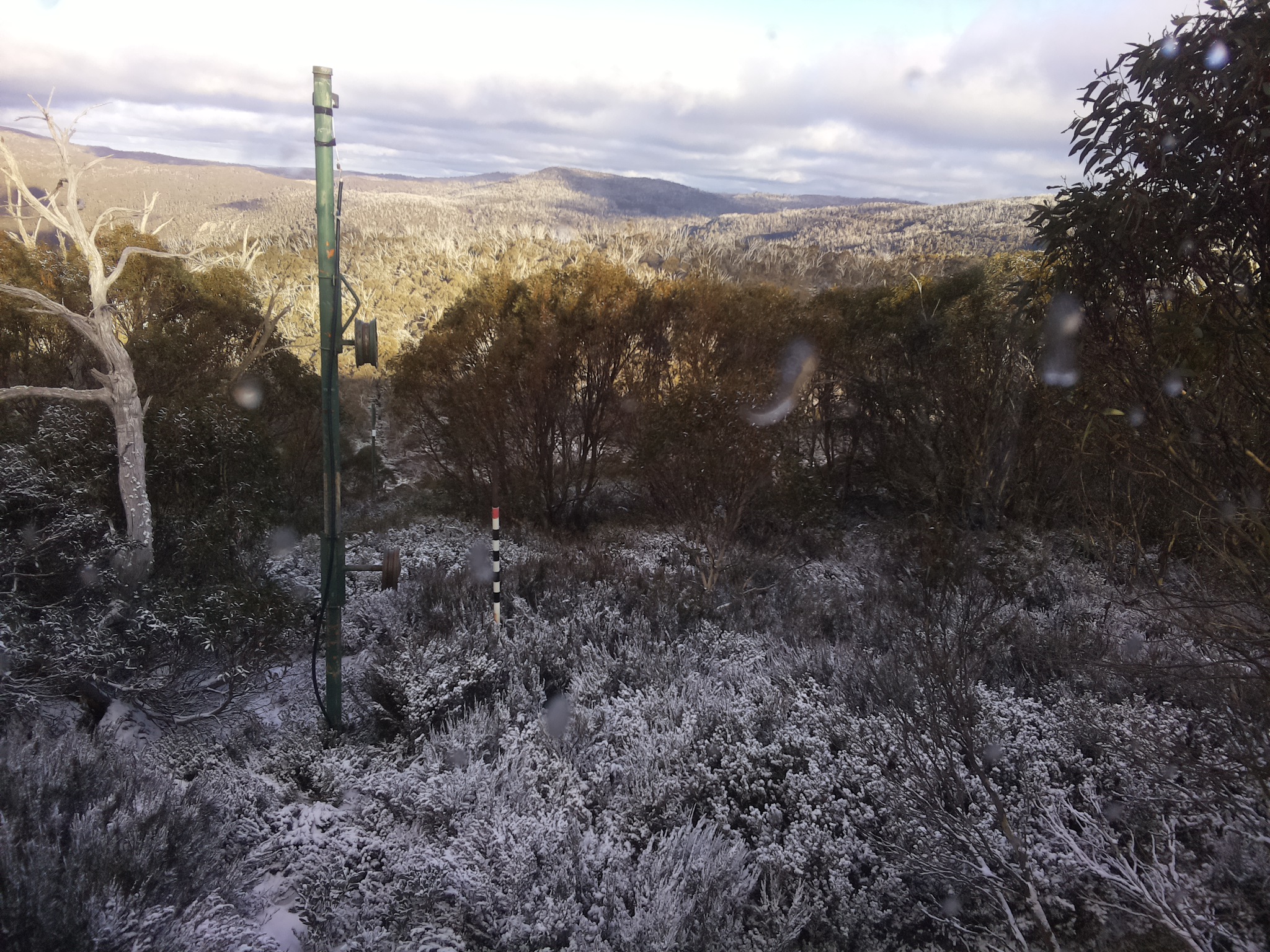 Bogong Web Cam 3:50pm Wednesday 4th of June 2025
