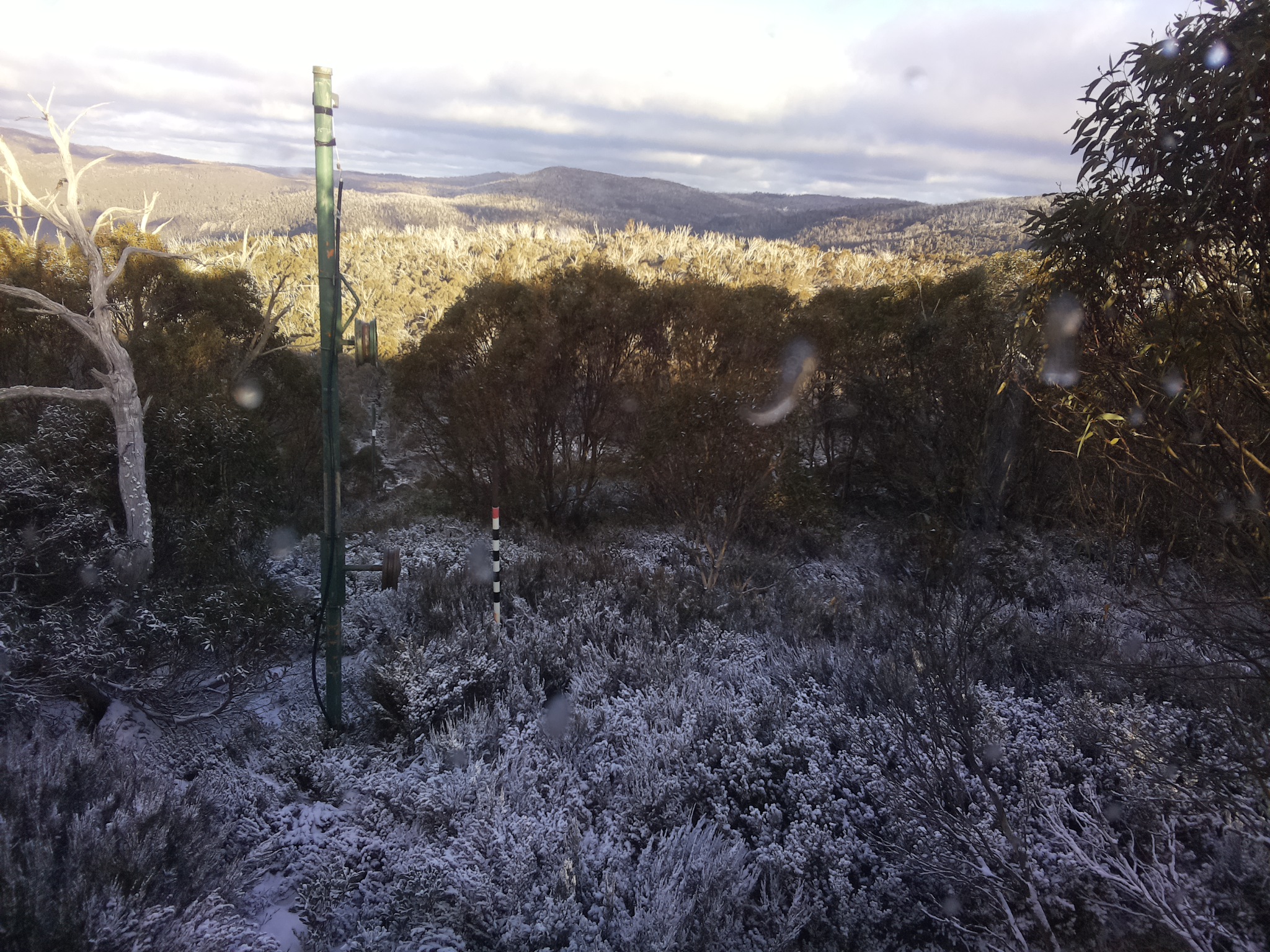 Bogong Web Cam 4:00pm Wednesday 4th of June 2025
