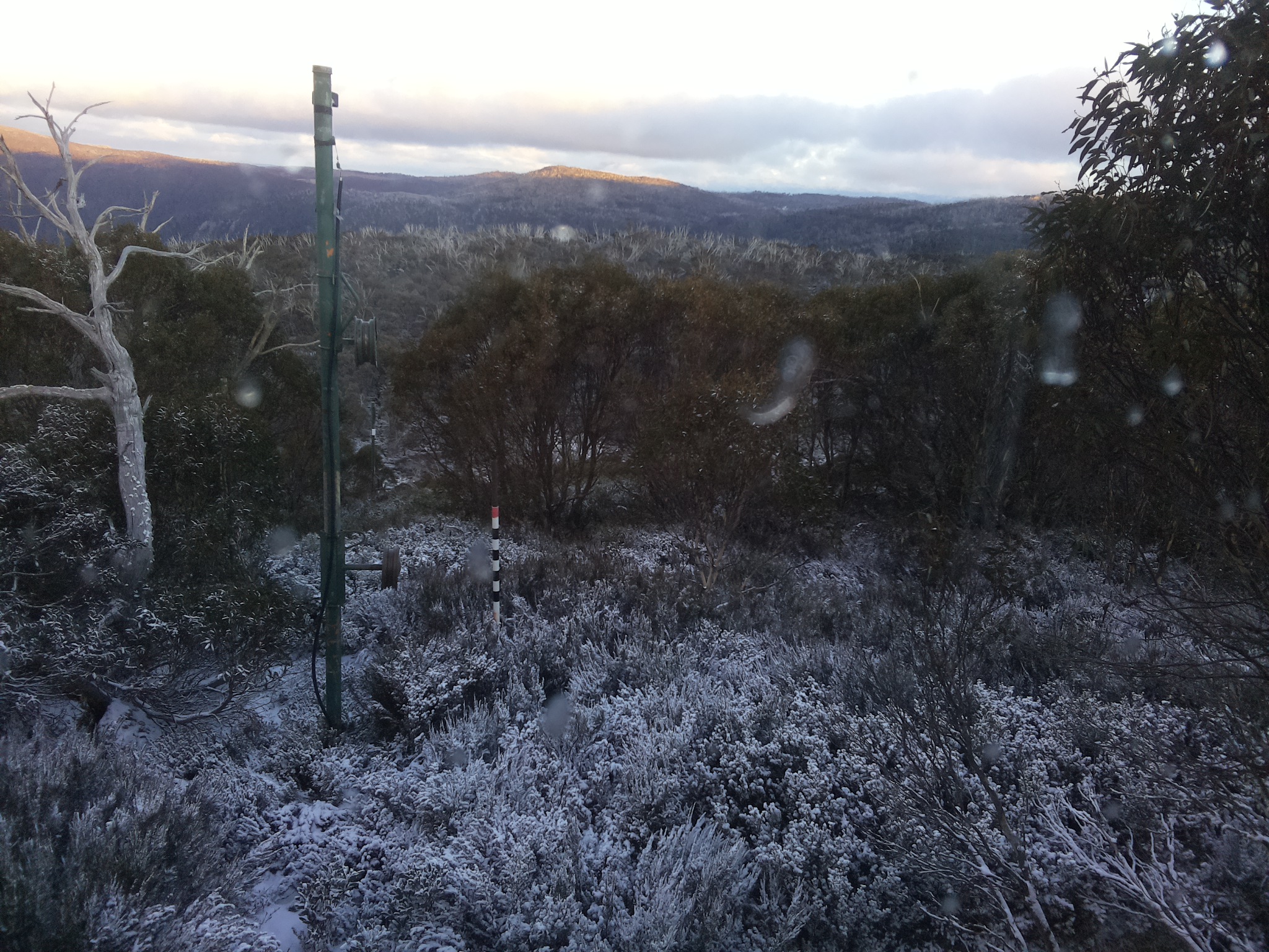 Bogong Web Cam 4:50pm Wednesday 4th of June 2025