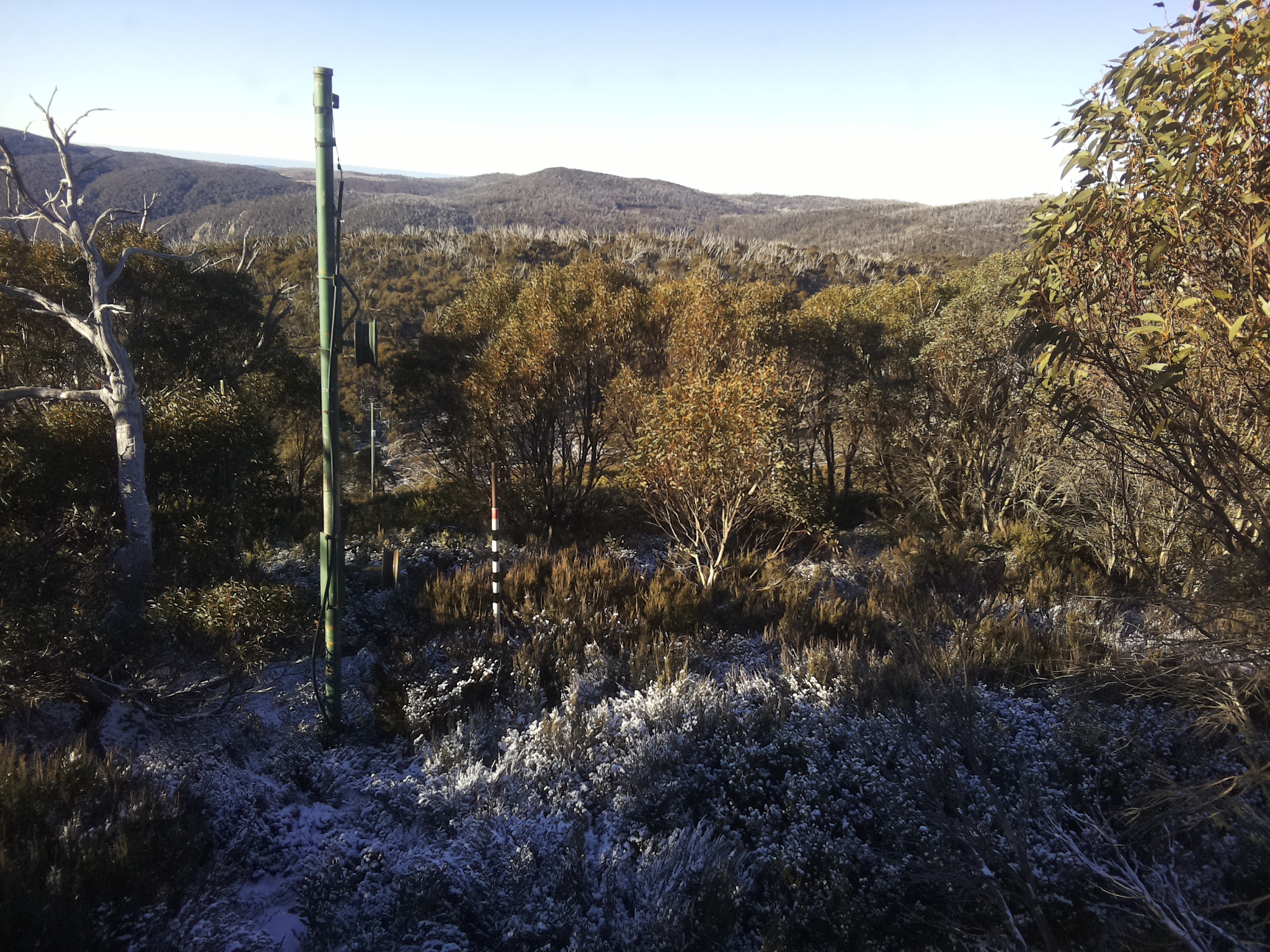 Bogong Web Cam 8:50am Thursday 5th of June 2025