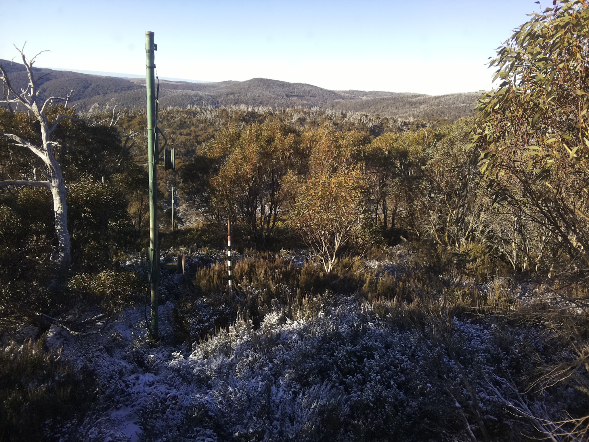 Bogong Web Cam 9:00am Thursday 5th of June 2025