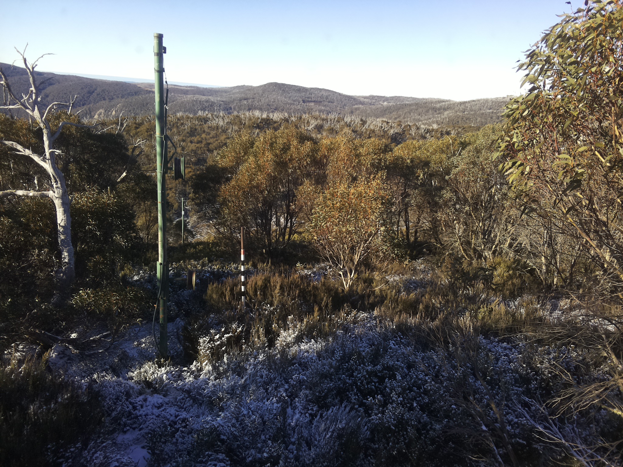 Bogong Web Cam 9:10am Thursday 5th of June 2025