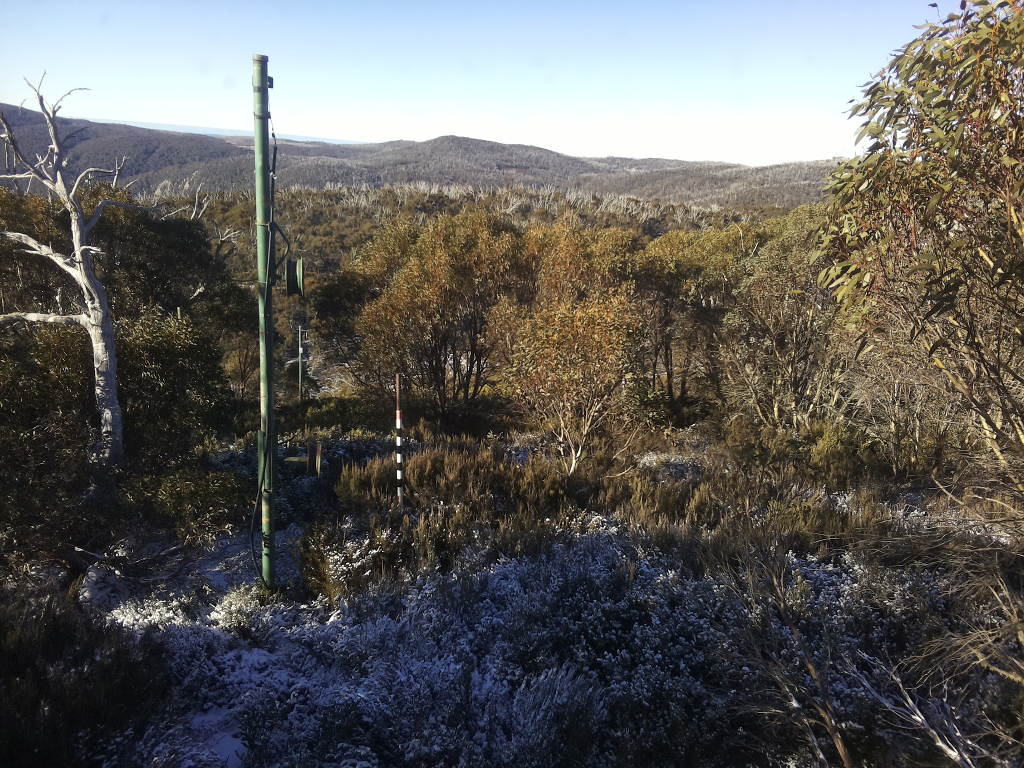 Bogong Web Cam 9:20am Thursday 5th of June 2025