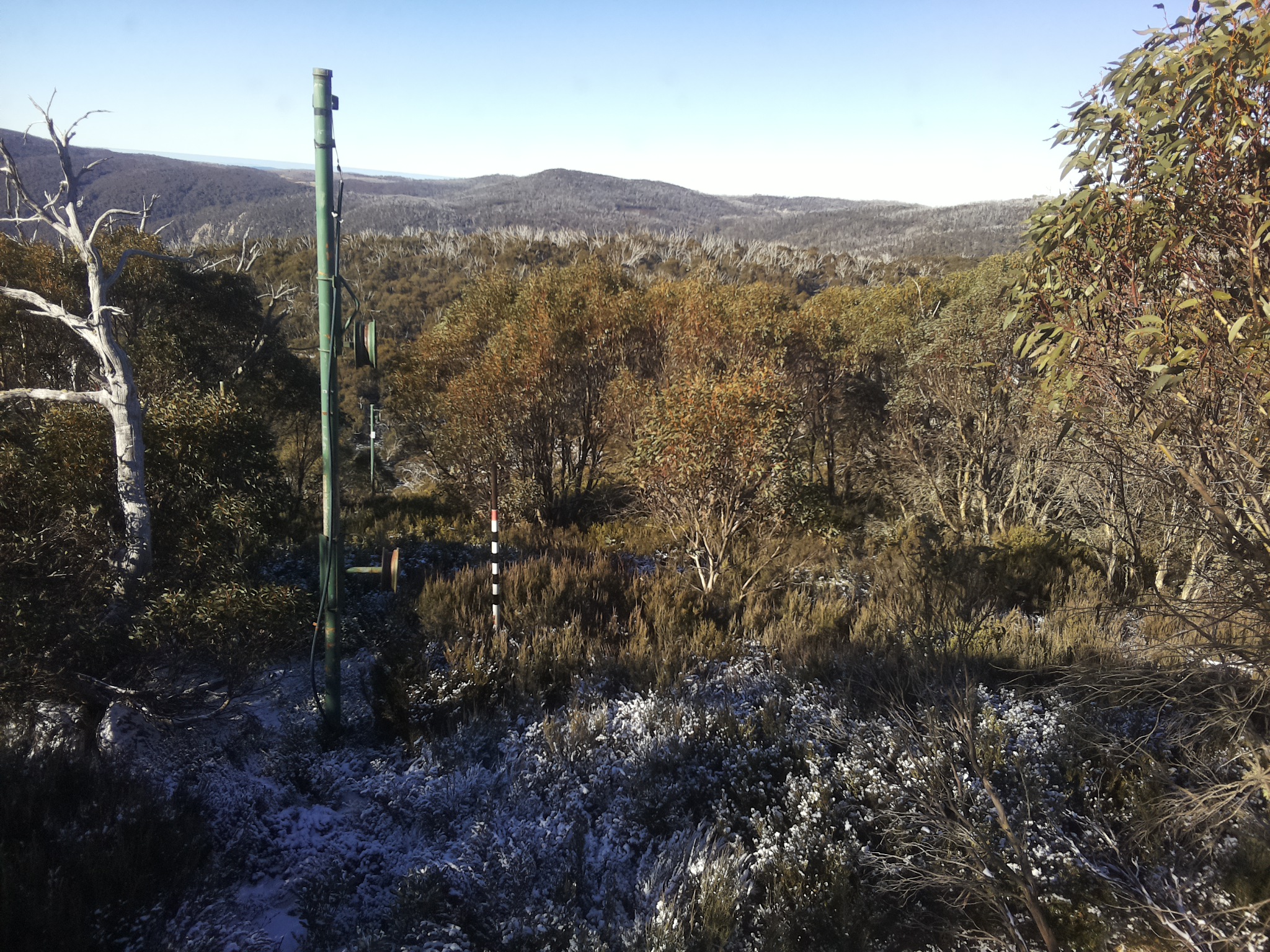 Bogong Web Cam 10:00am Thursday 5th of June 2025
