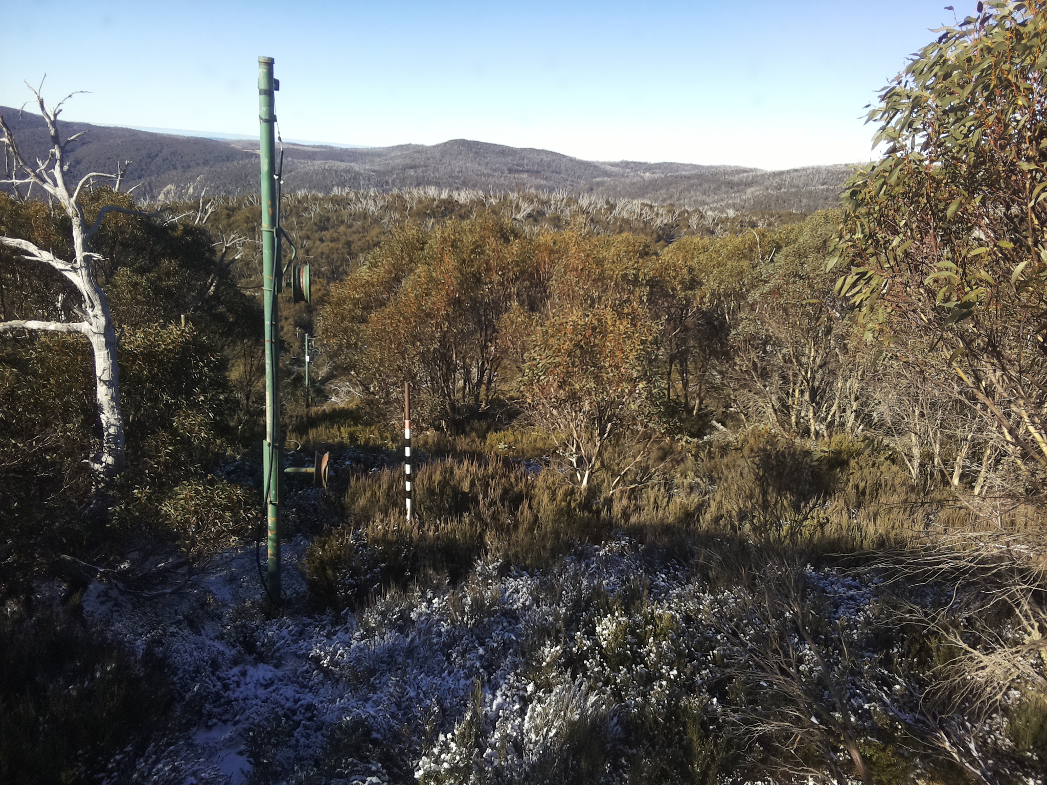 Bogong Web Cam 10:20am Thursday 5th of June 2025