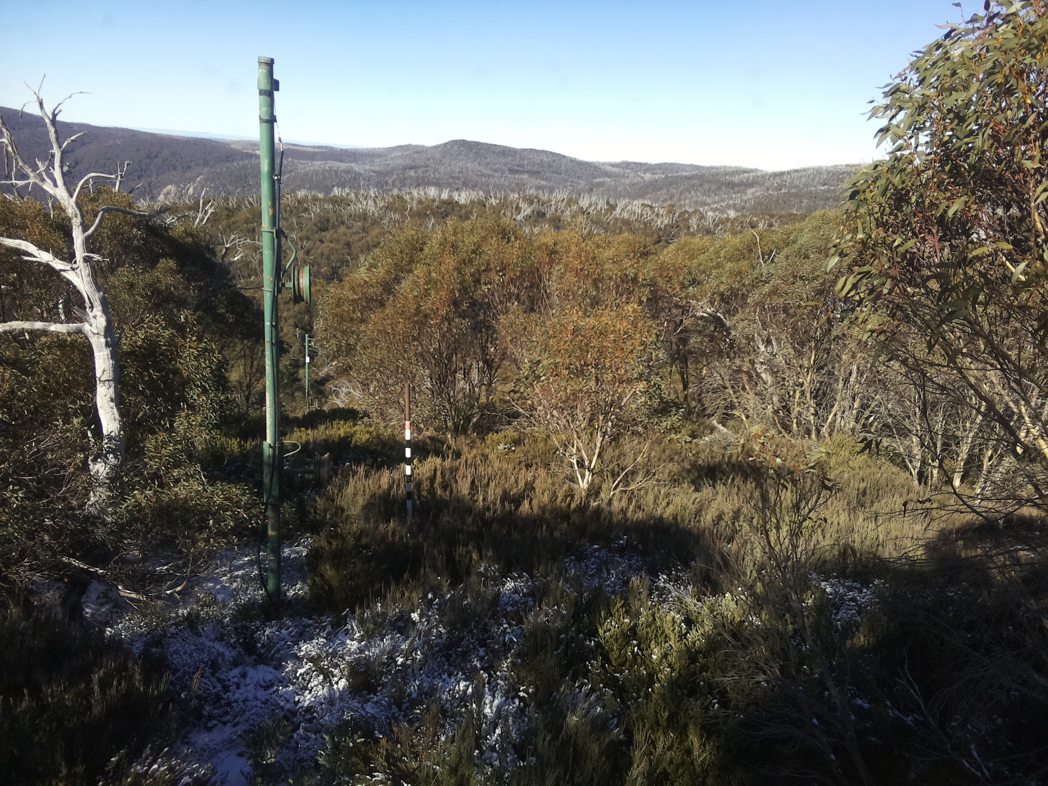 Bogong Web Cam 11:20am Thursday 5th of June 2025