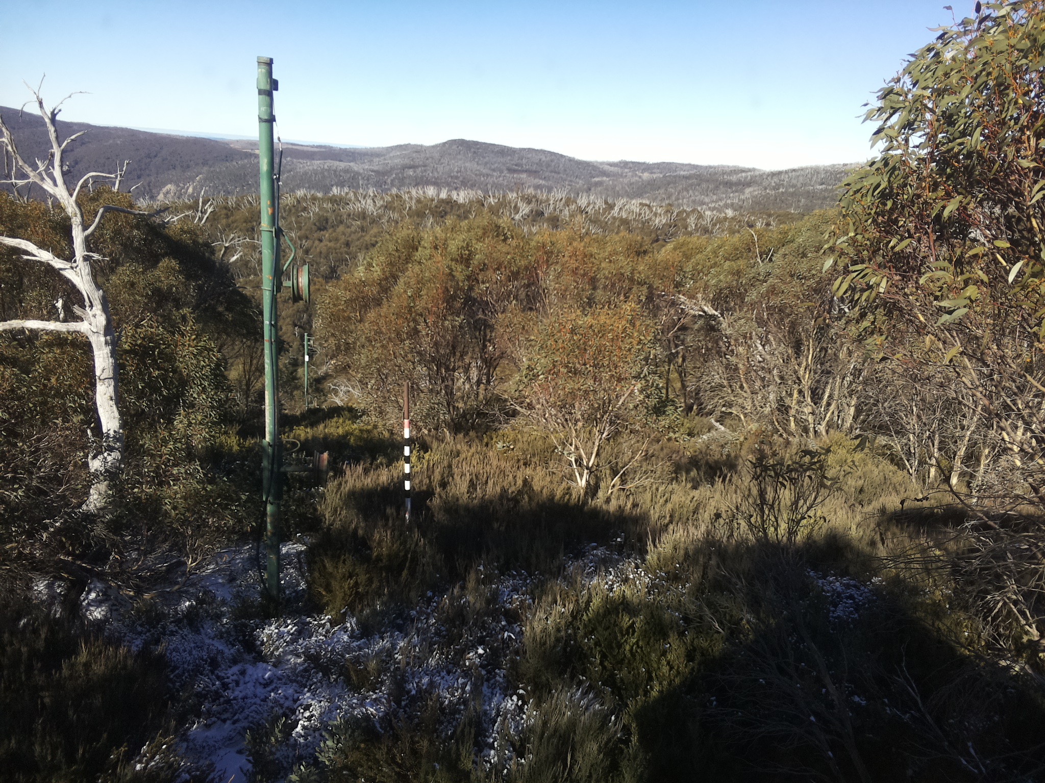 Bogong Web Cam 11:40am Thursday 5th of June 2025