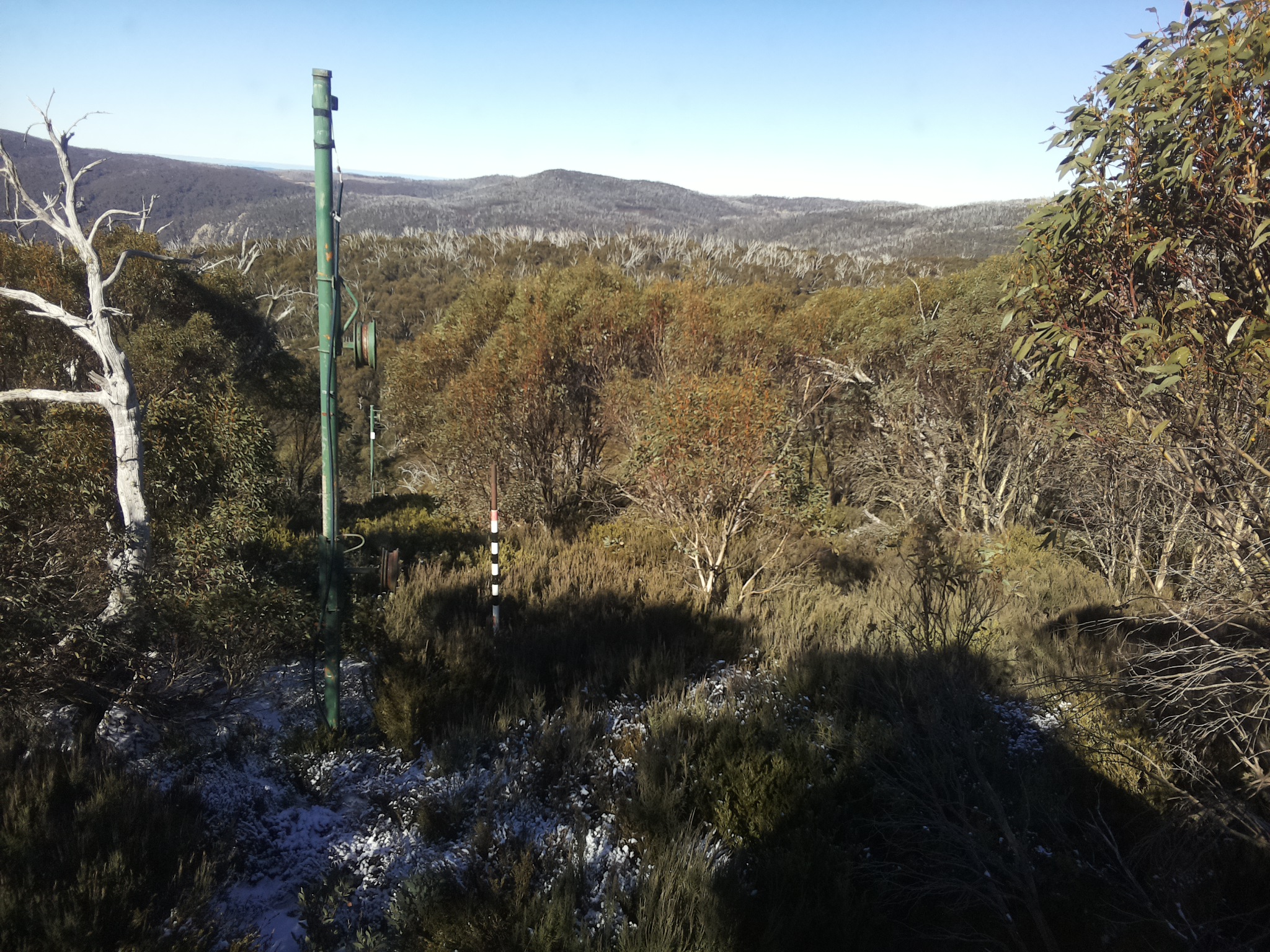 Bogong Web Cam 11:50am Thursday 5th of June 2025