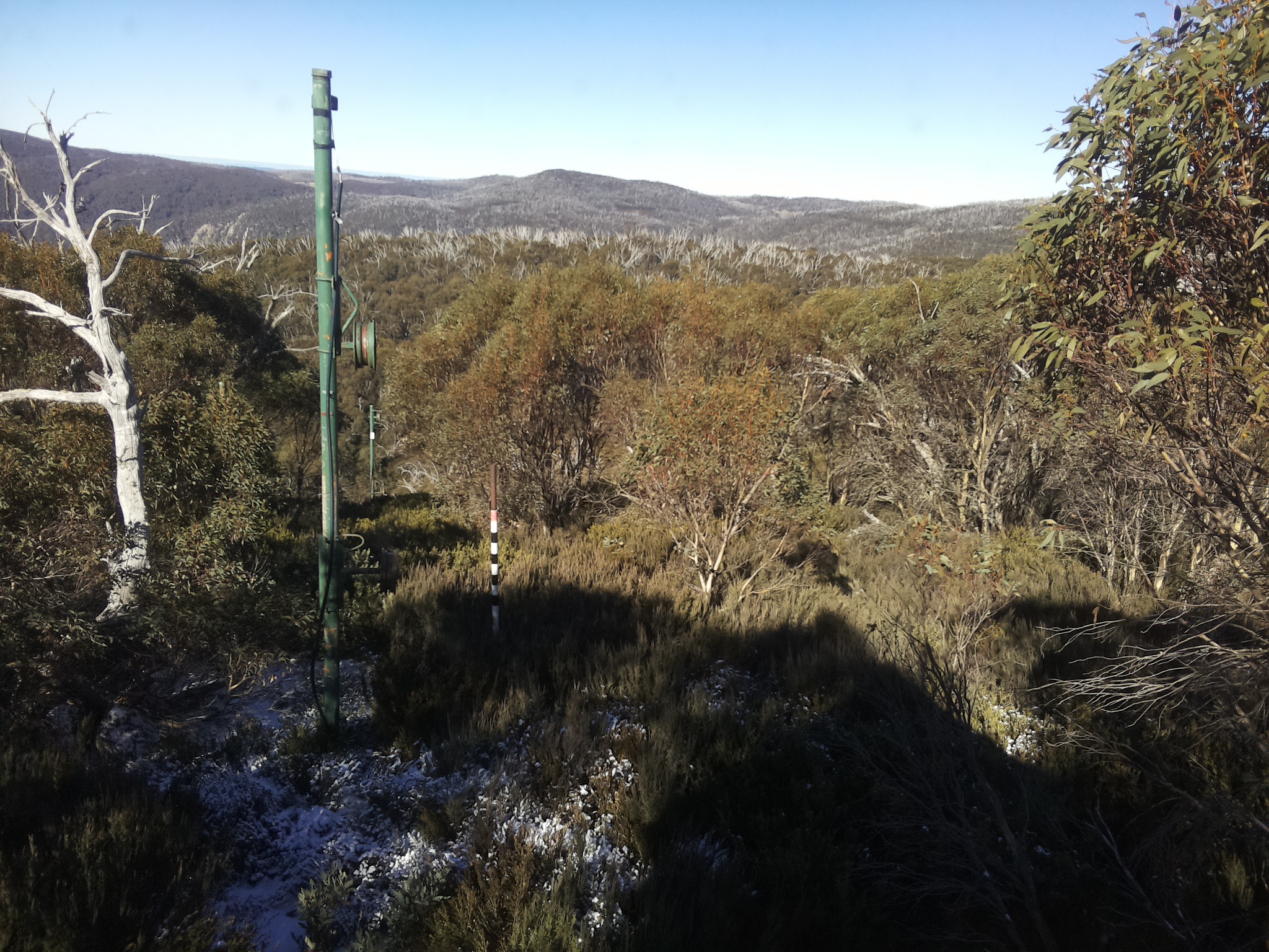 Bogong Web Cam 12:10pm Thursday 5th of June 2025