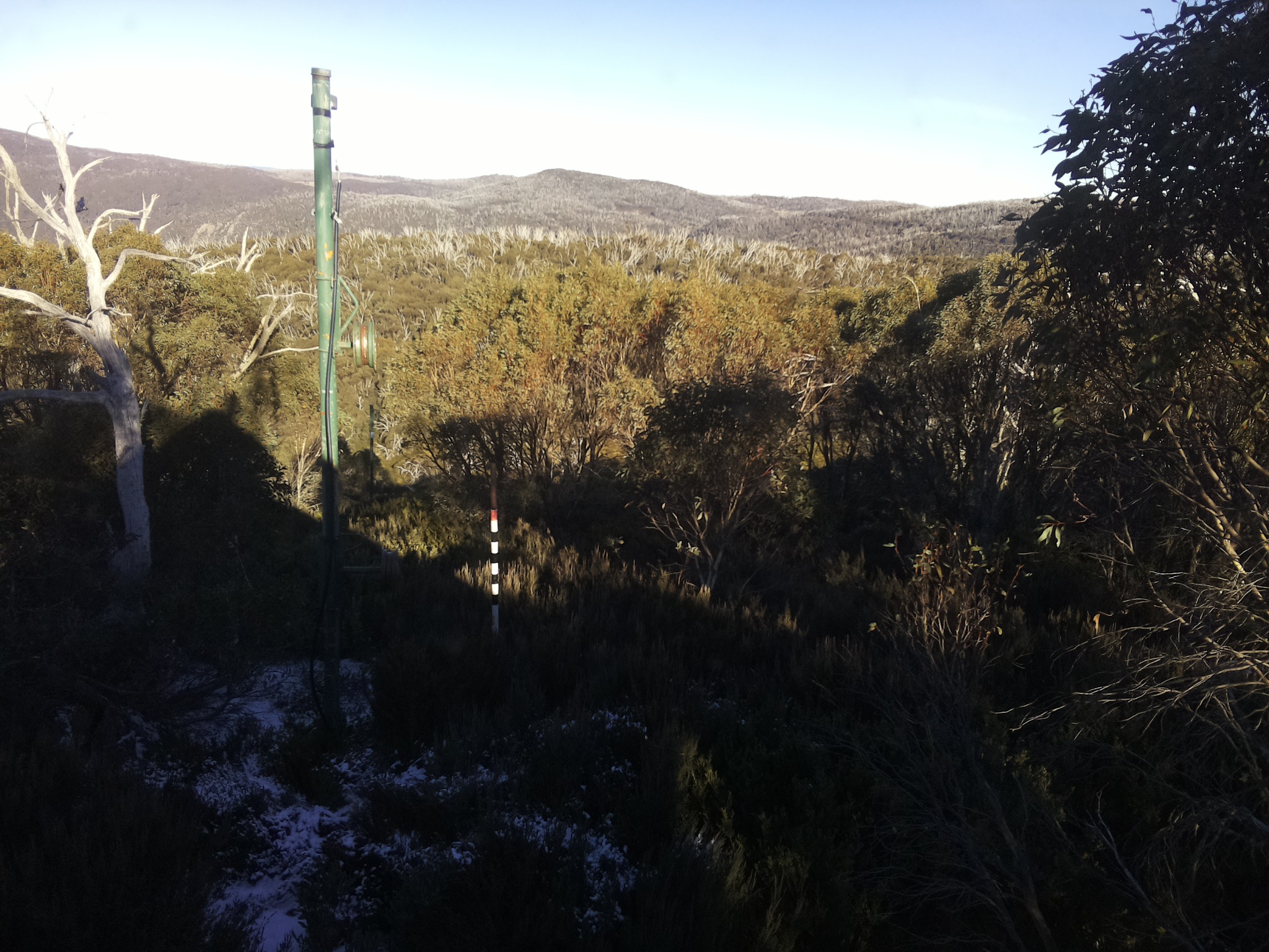 Bogong Web Cam 3:00pm Thursday 5th of June 2025