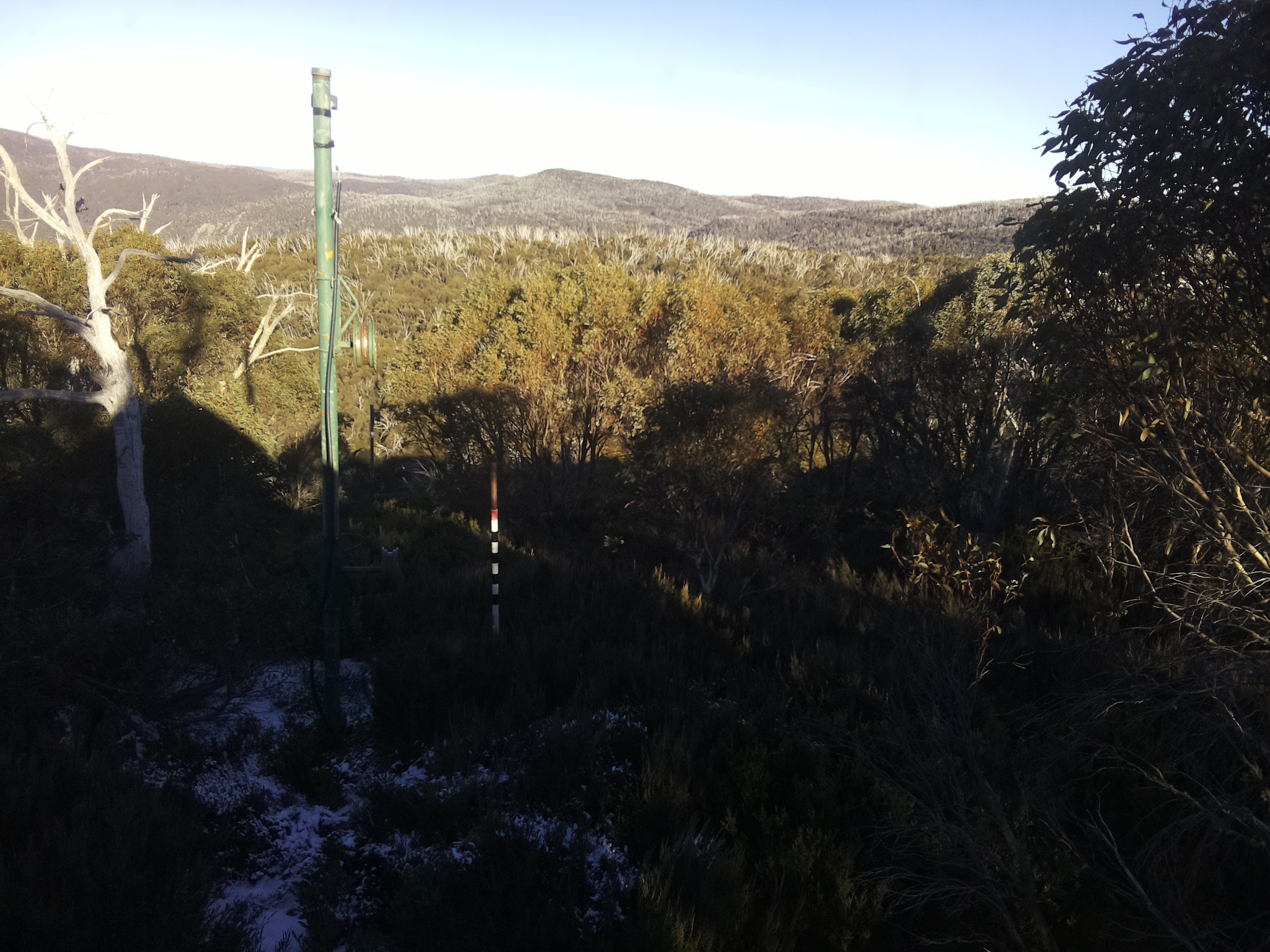 Bogong Web Cam 3:10pm Thursday 5th of June 2025