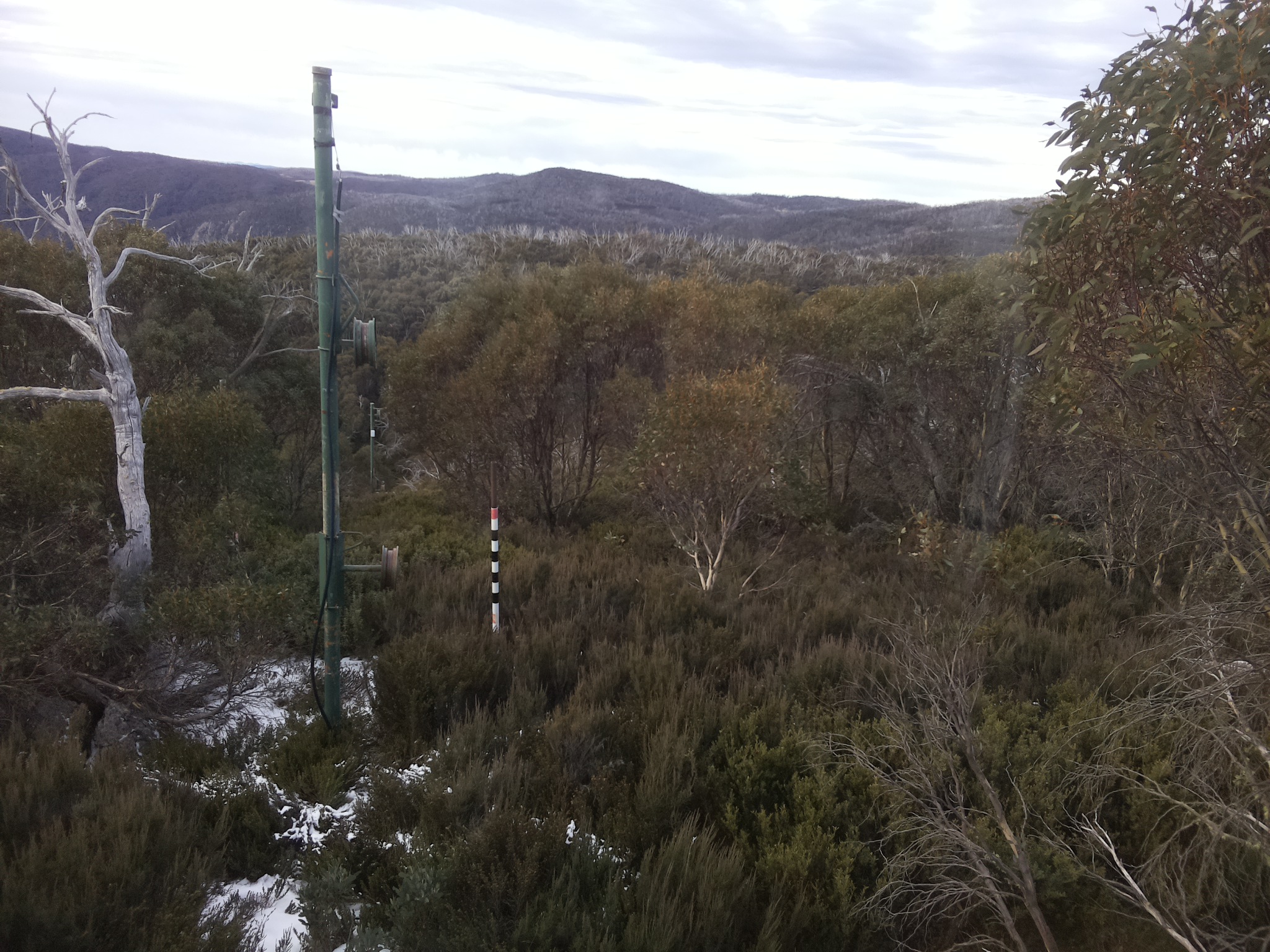 Bogong Web Cam 8:40am Friday 6th of June 2025