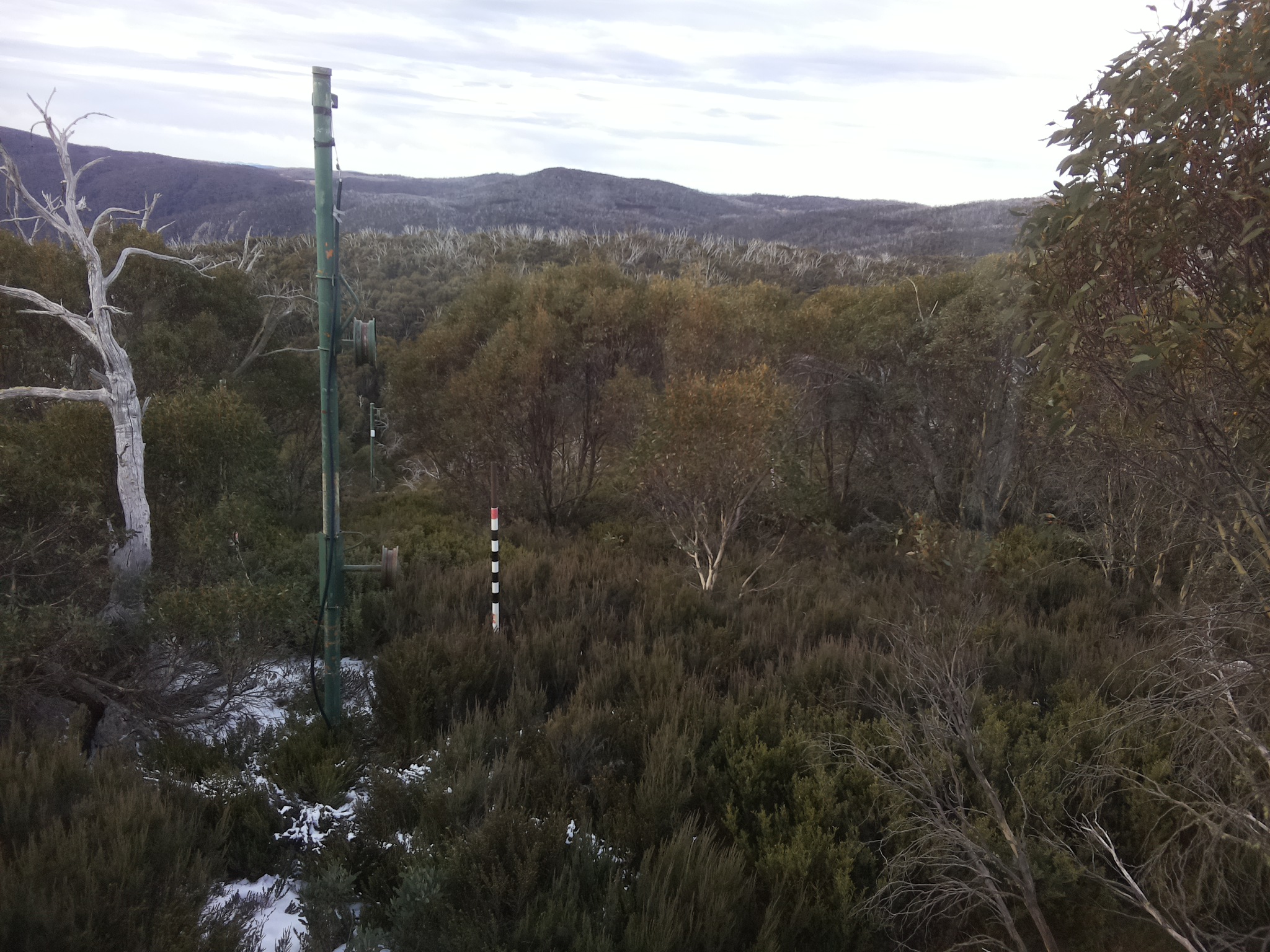 Bogong Web Cam 8:50am Friday 6th of June 2025