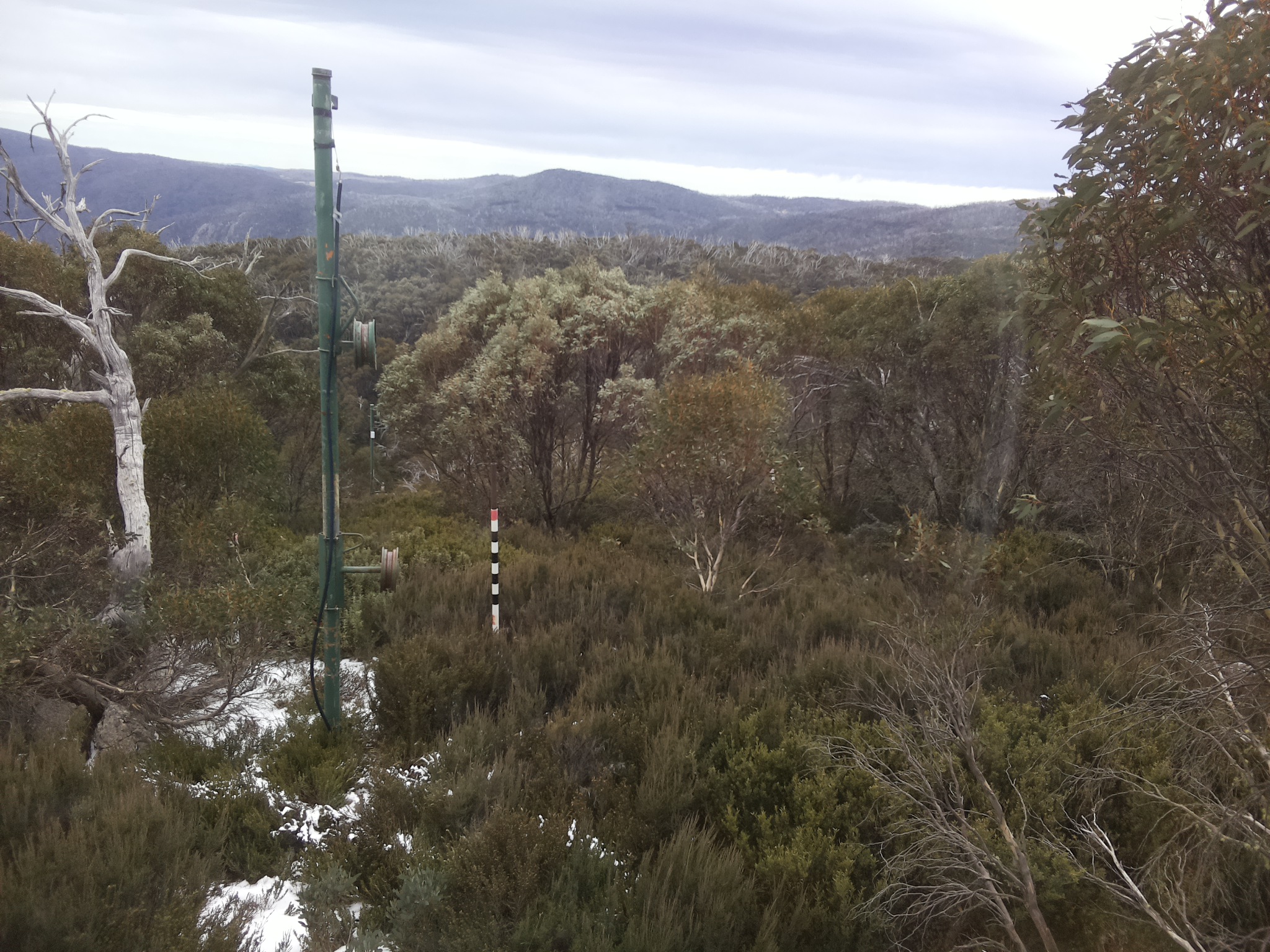 Bogong Web Cam 11:20am Friday 6th of June 2025