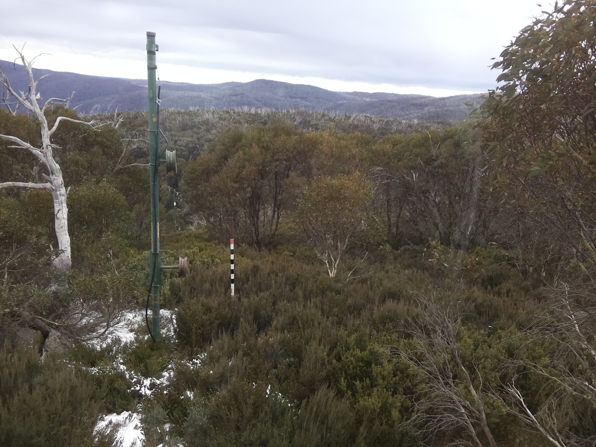 Bogong Web Cam 11:40am Friday 6th of June 2025