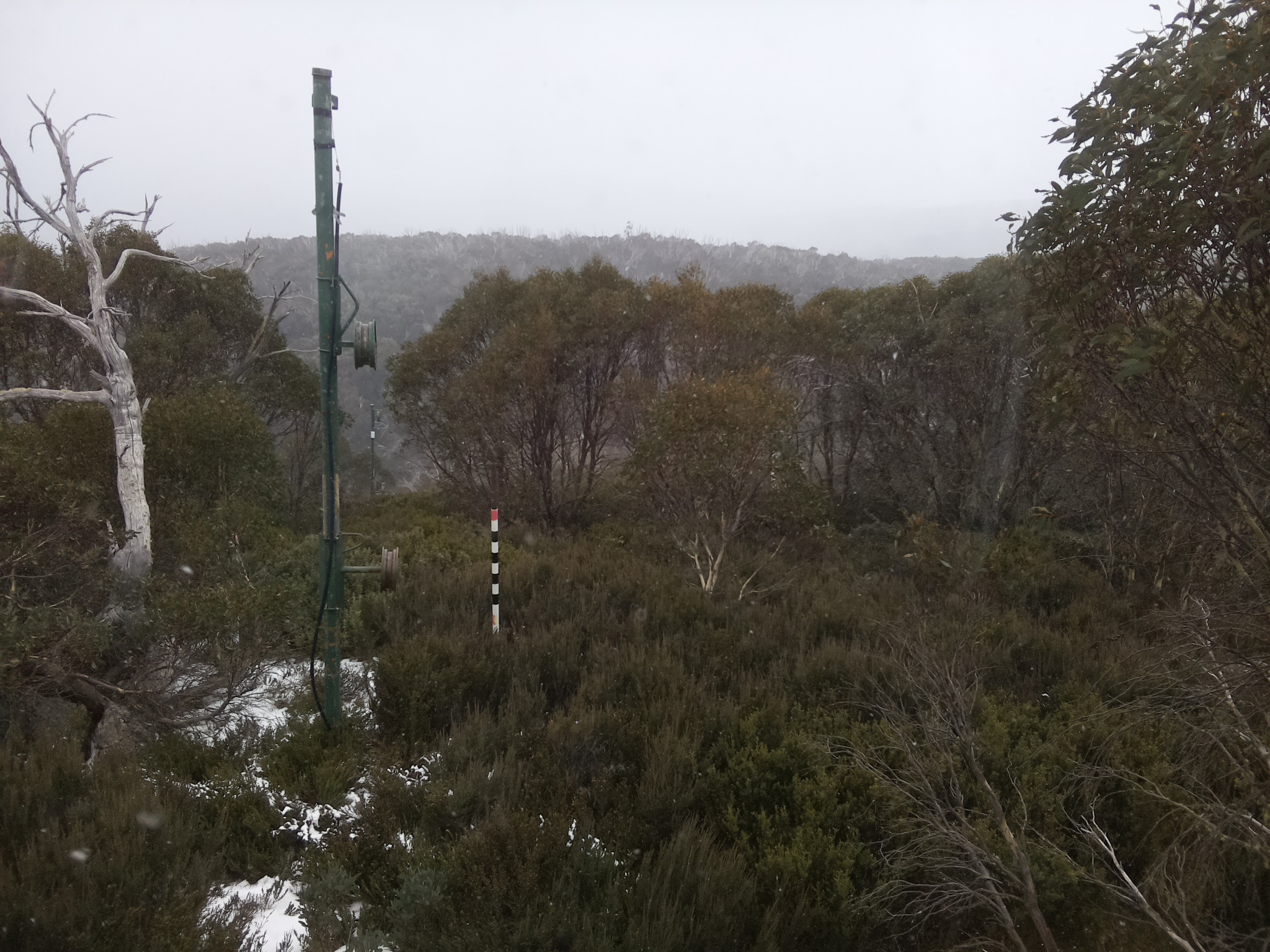 Bogong Web Cam 12:40pm Friday 6th of June 2025