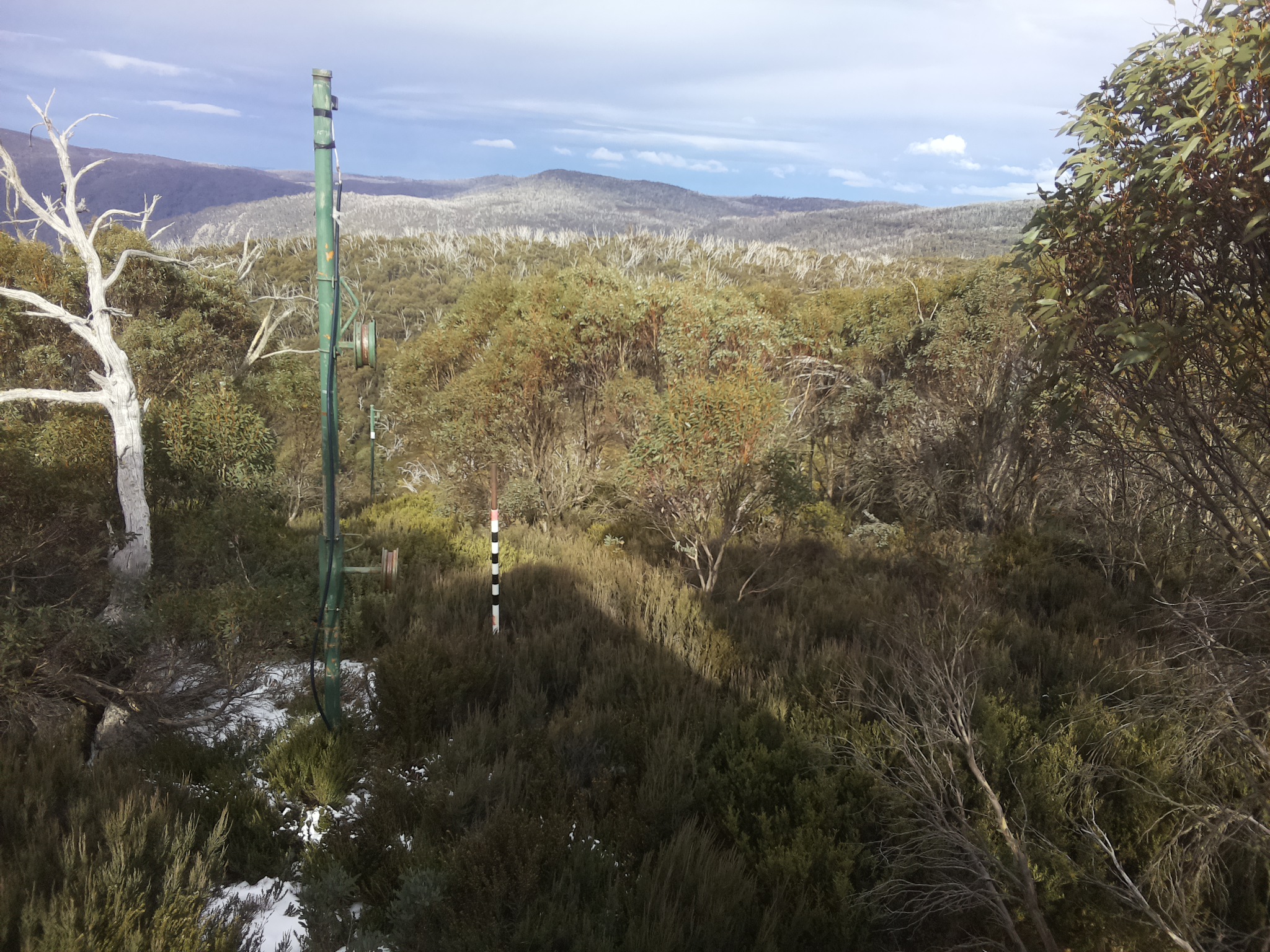 Bogong Web Cam 1:40pm Friday 6th of June 2025
