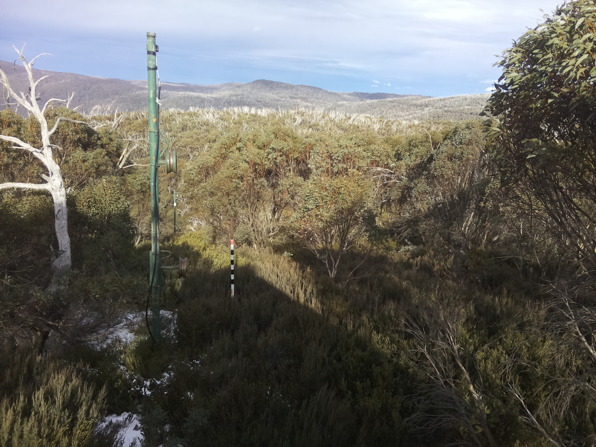 Bogong Web Cam 1:50pm Friday 6th of June 2025