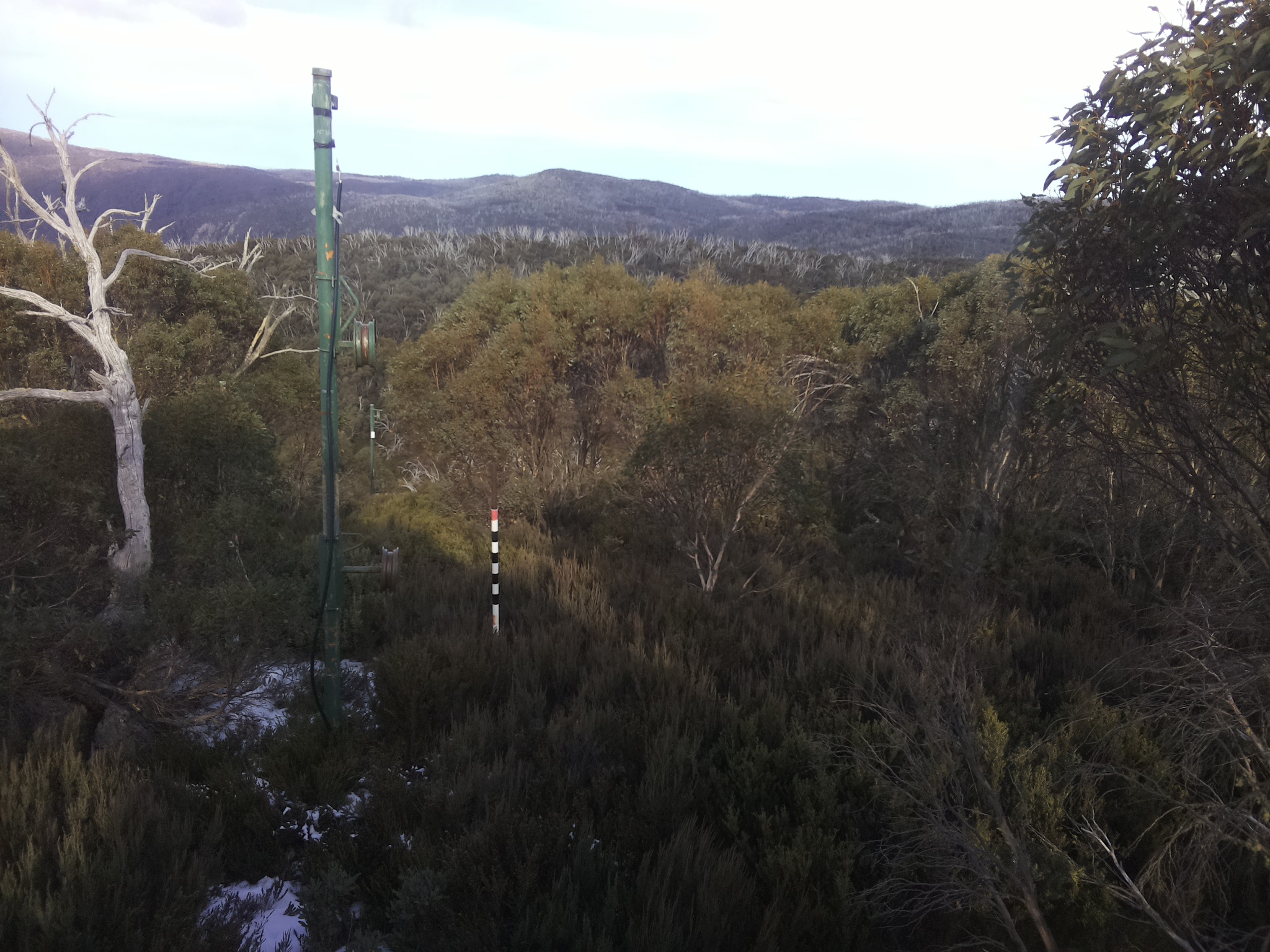 Bogong Web Cam 2:10pm Friday 6th of June 2025
