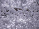 Thumbnail Saturday 7th of June 2025