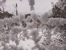 Thumbnail 10:20am Saturday 7th of June 2025