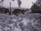 Thumbnail 10:30am Saturday 7th of June 2025