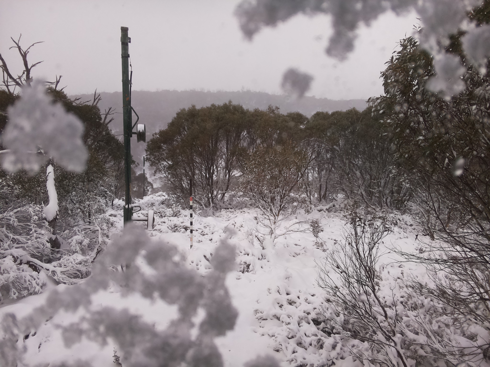 Bogong Web Cam 10:50am Saturday 7th of June 2025