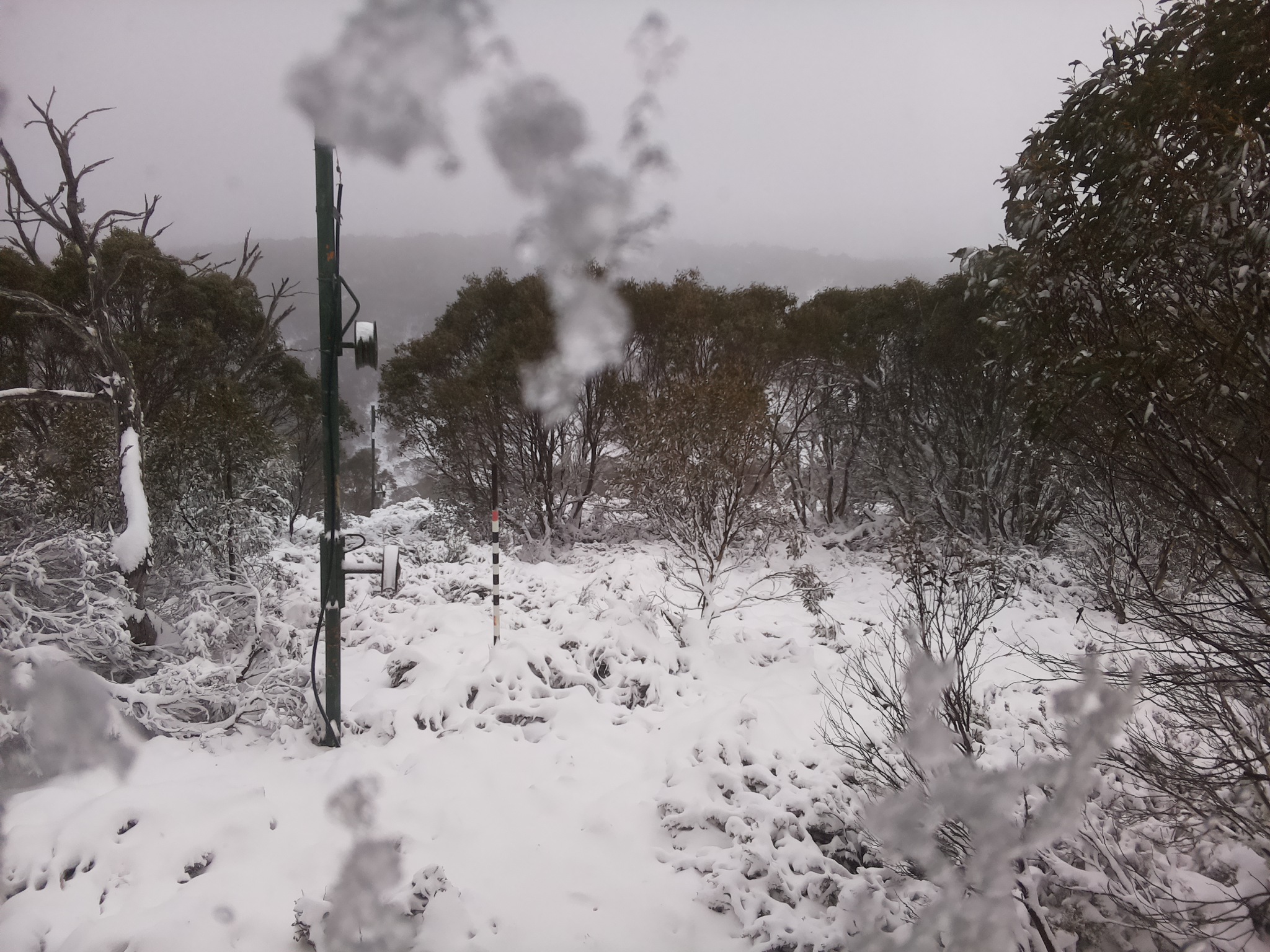 Bogong Web Cam 11:00am Saturday 7th of June 2025