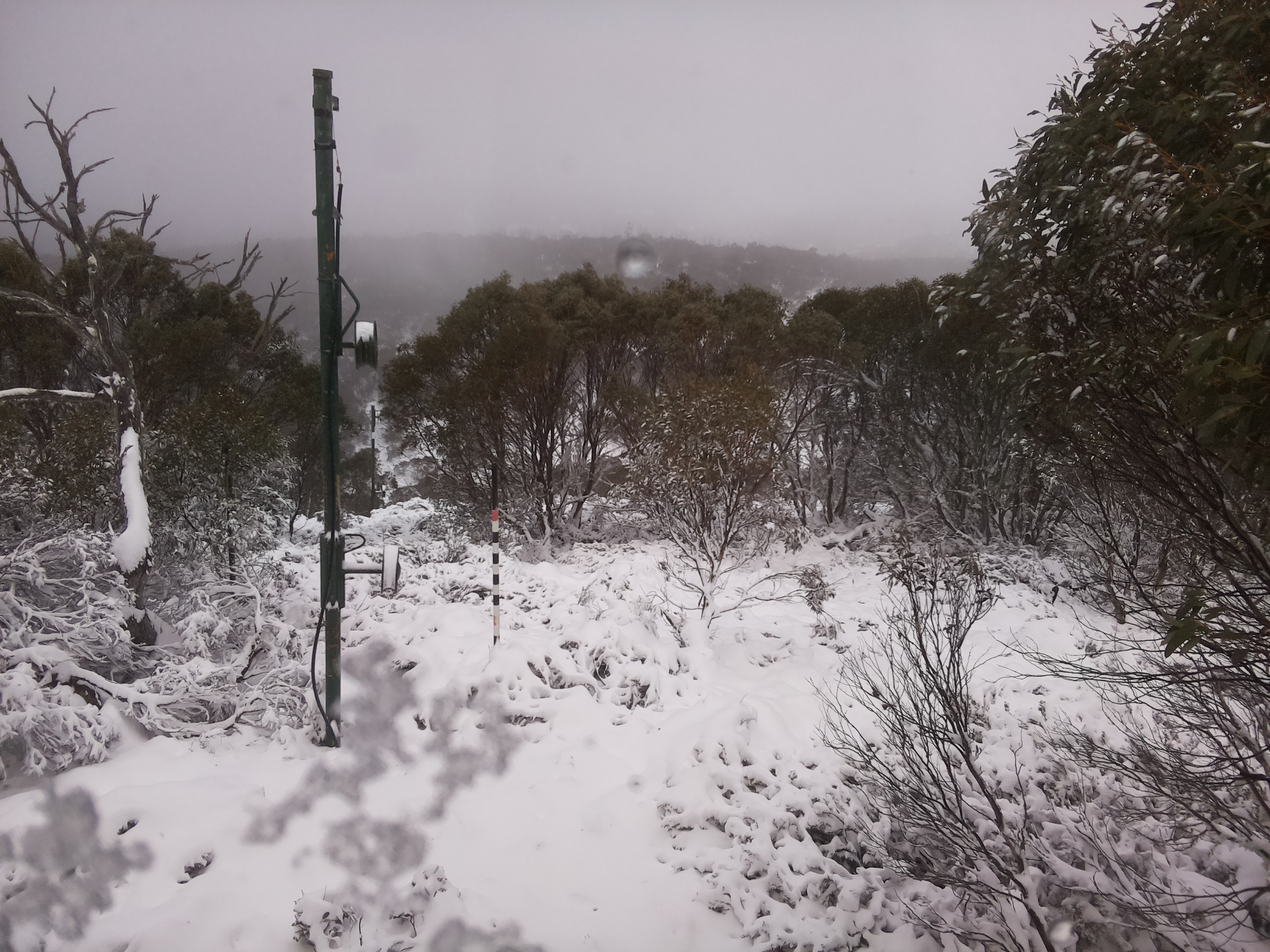 Bogong Web Cam 11:10am Saturday 7th of June 2025