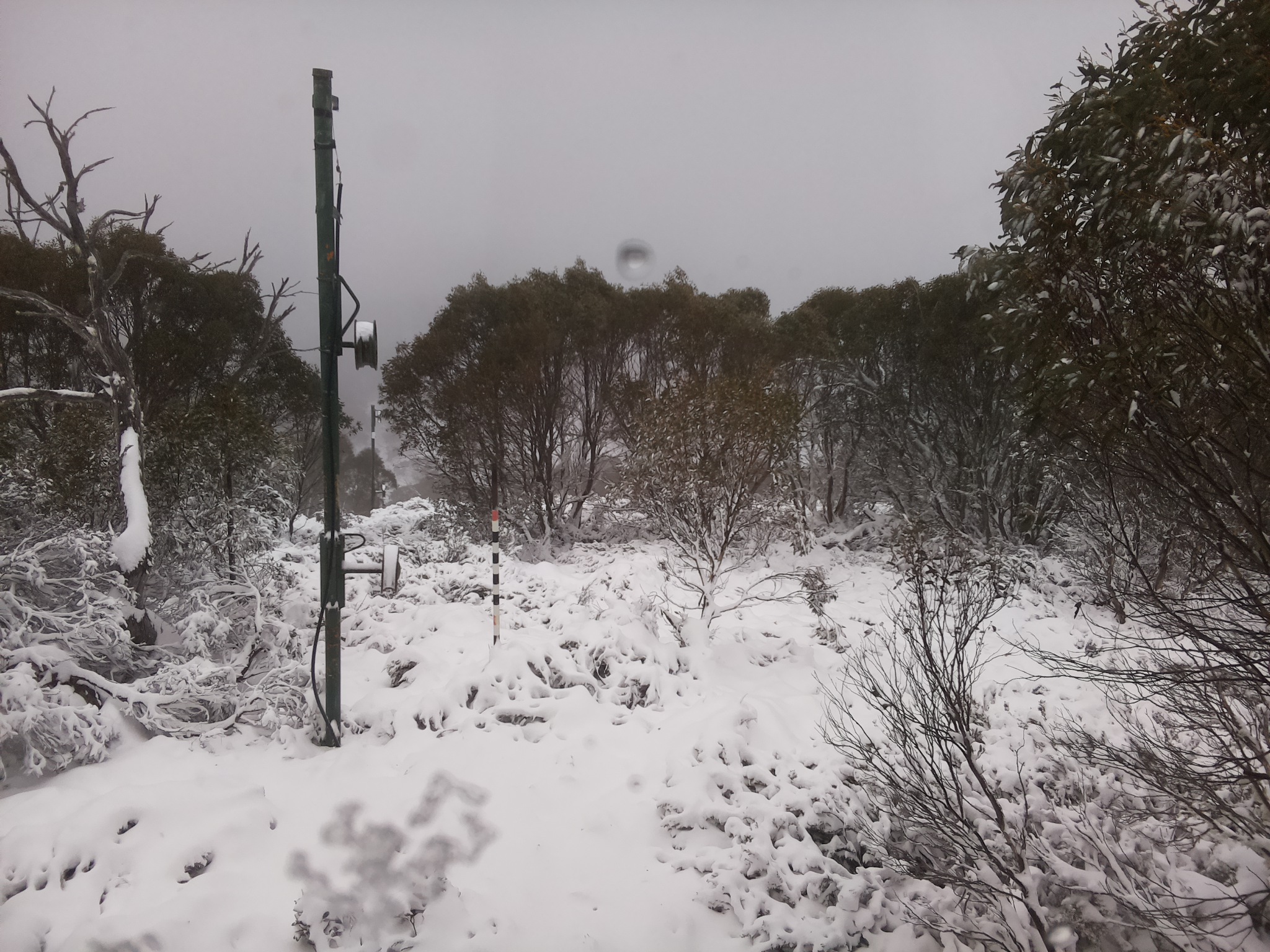 Bogong Web Cam 11:20am Saturday 7th of June 2025