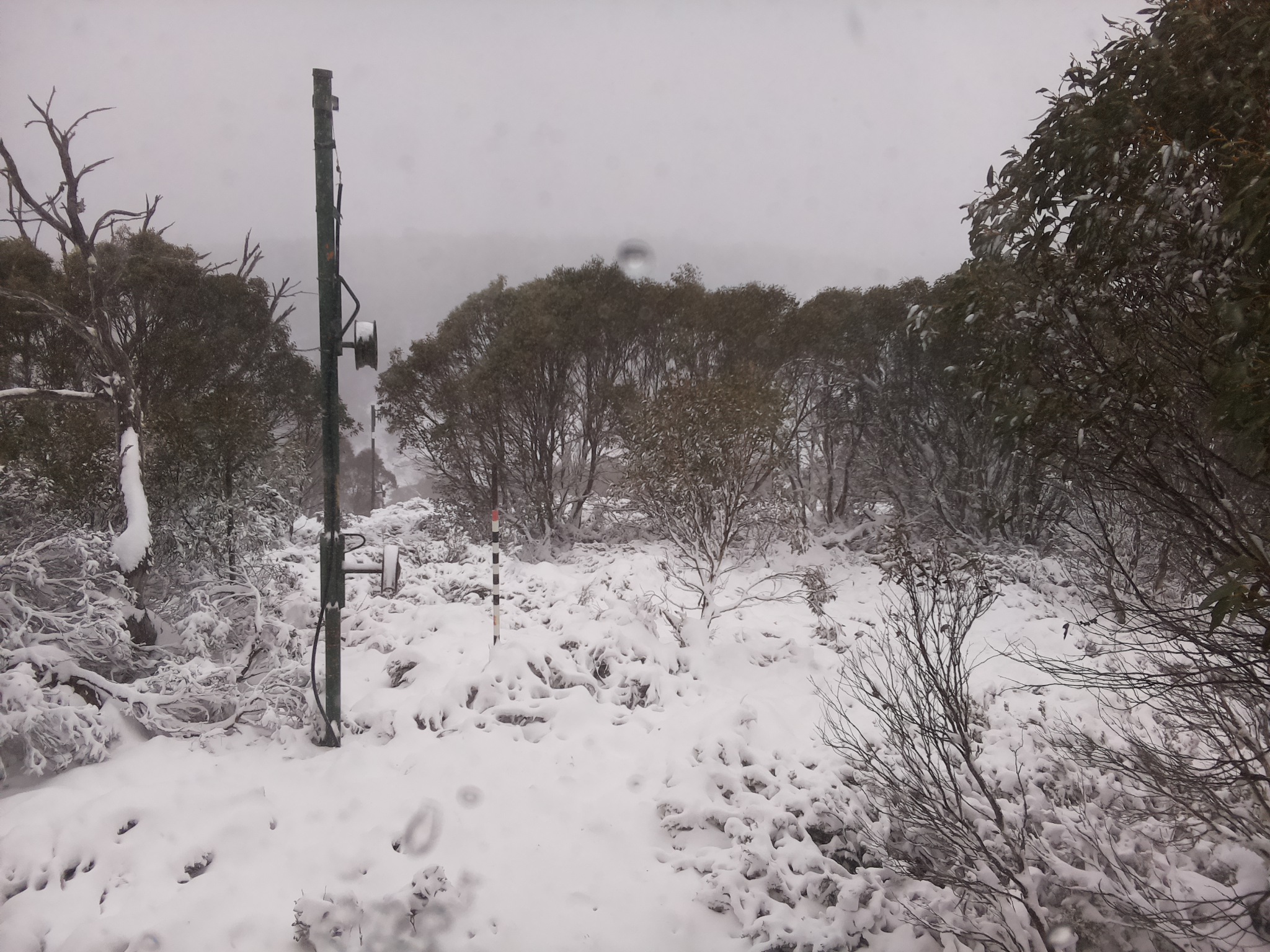 Bogong Web Cam 11:30am Saturday 7th of June 2025