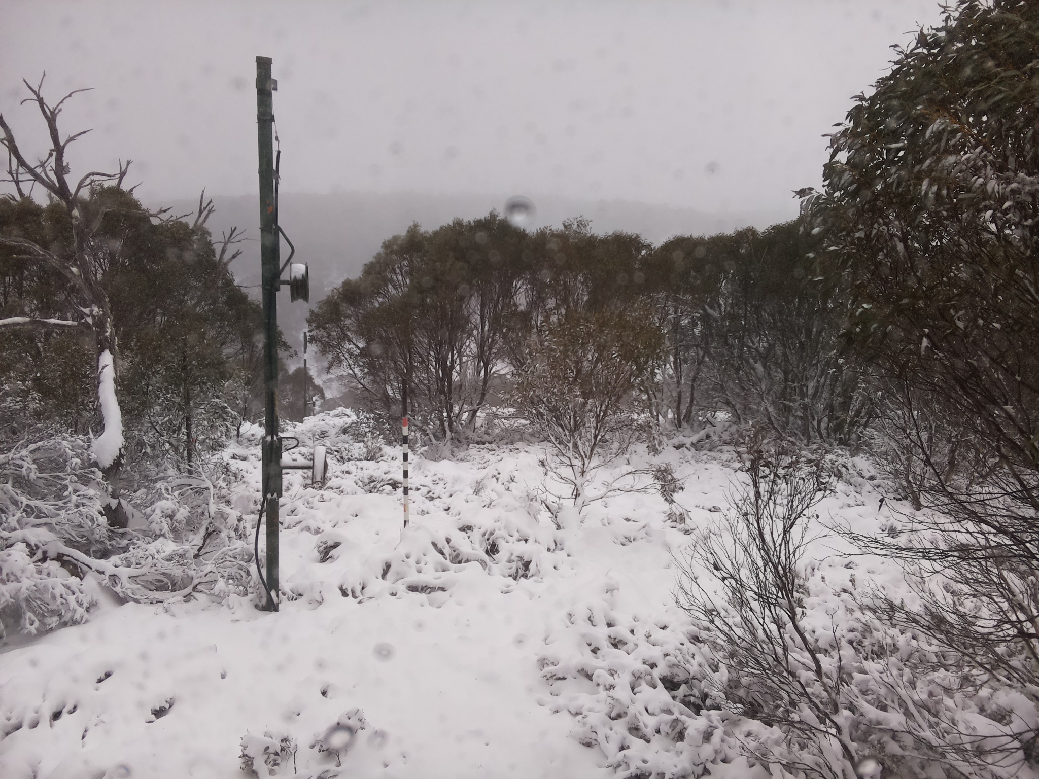 Bogong Web Cam 11:40am Saturday 7th of June 2025