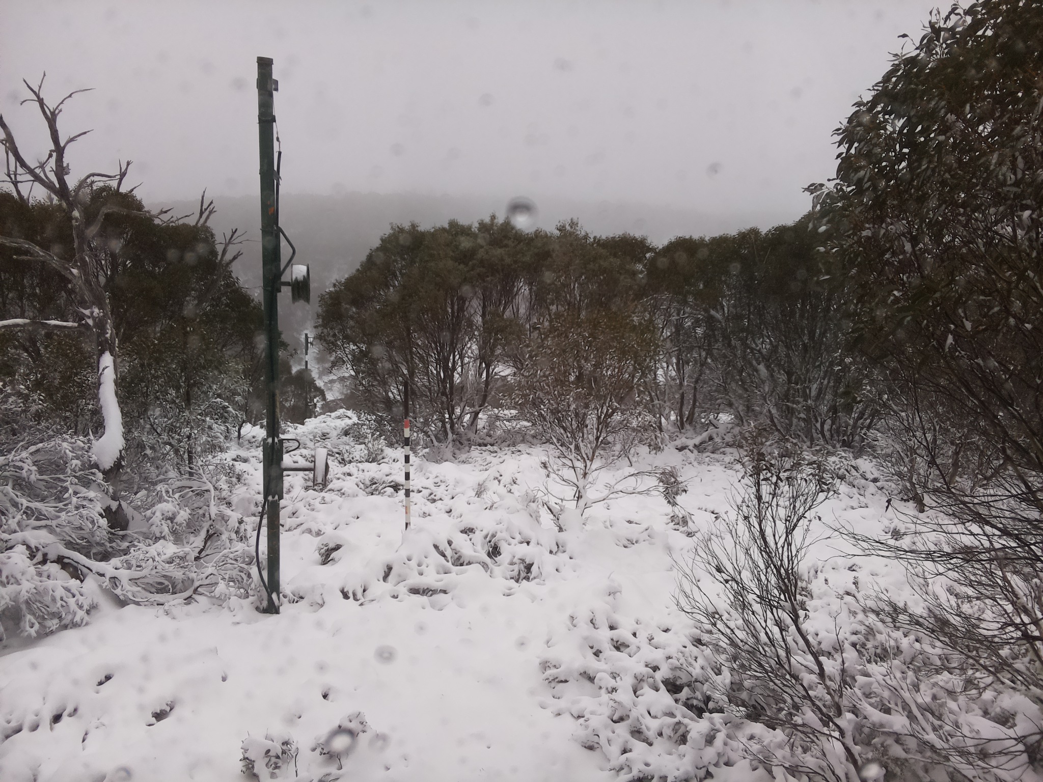 Bogong Web Cam 11:50am Saturday 7th of June 2025