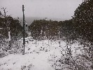 Thumbnail 11:50am Saturday 7th of June 2025