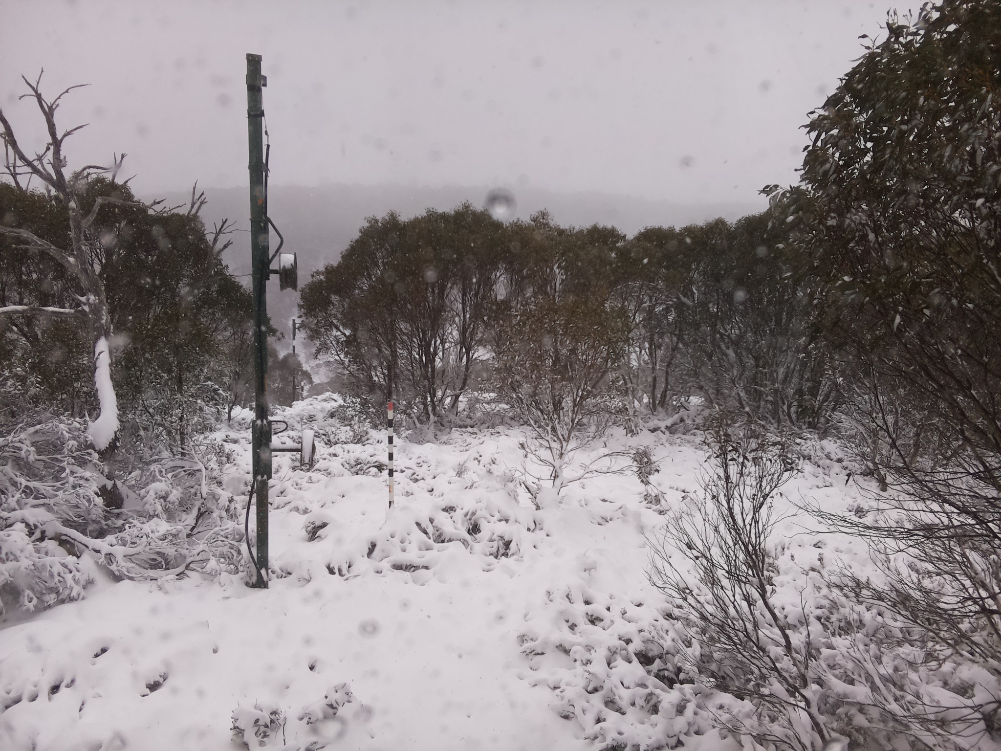 Bogong Web Cam 12:30pm Saturday 7th of June 2025