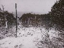Selected Thumbnail 12:30pm Saturday 7th of June 2025
