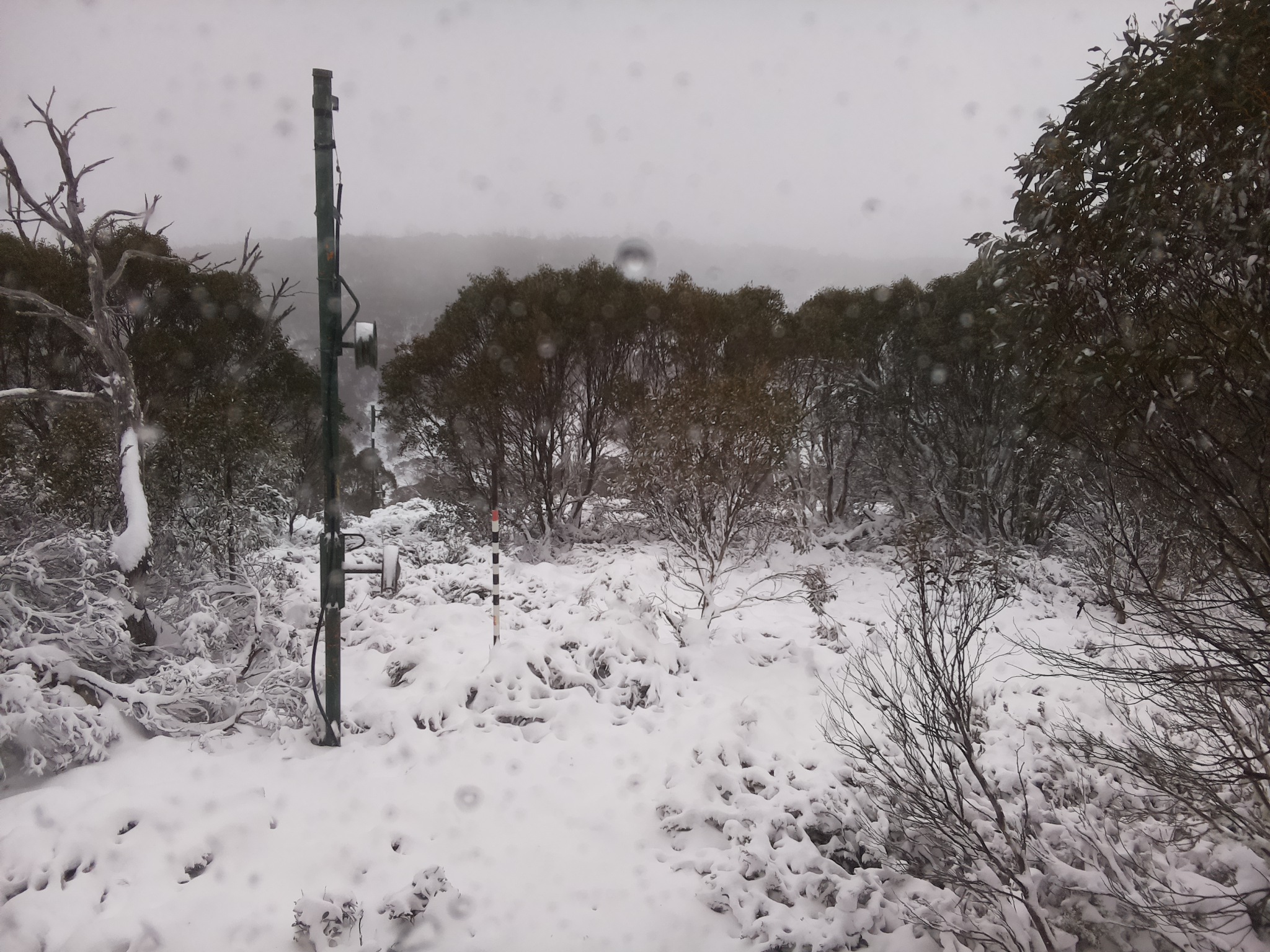 Bogong Web Cam 12:40pm Saturday 7th of June 2025