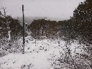 Thumbnail 12:40pm Saturday 7th of June 2025