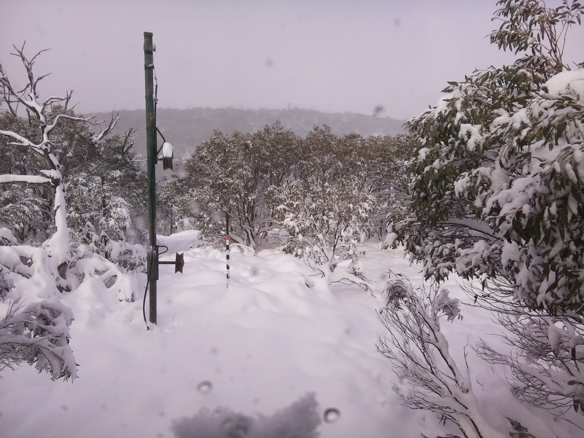 Bogong Web Cam 11:40am Sunday 8th of June 2025