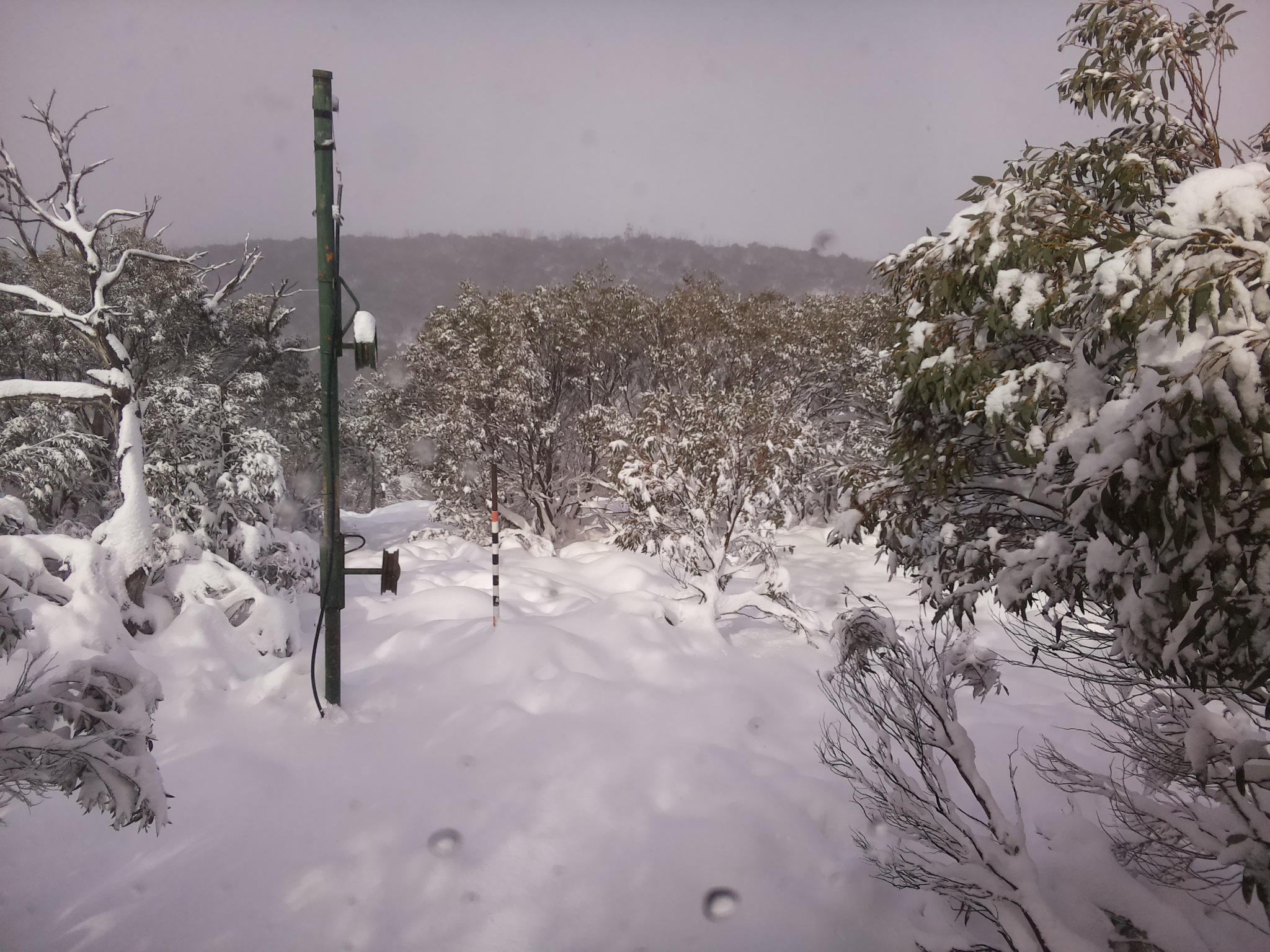 Bogong Web Cam 12:10pm Sunday 8th of June 2025