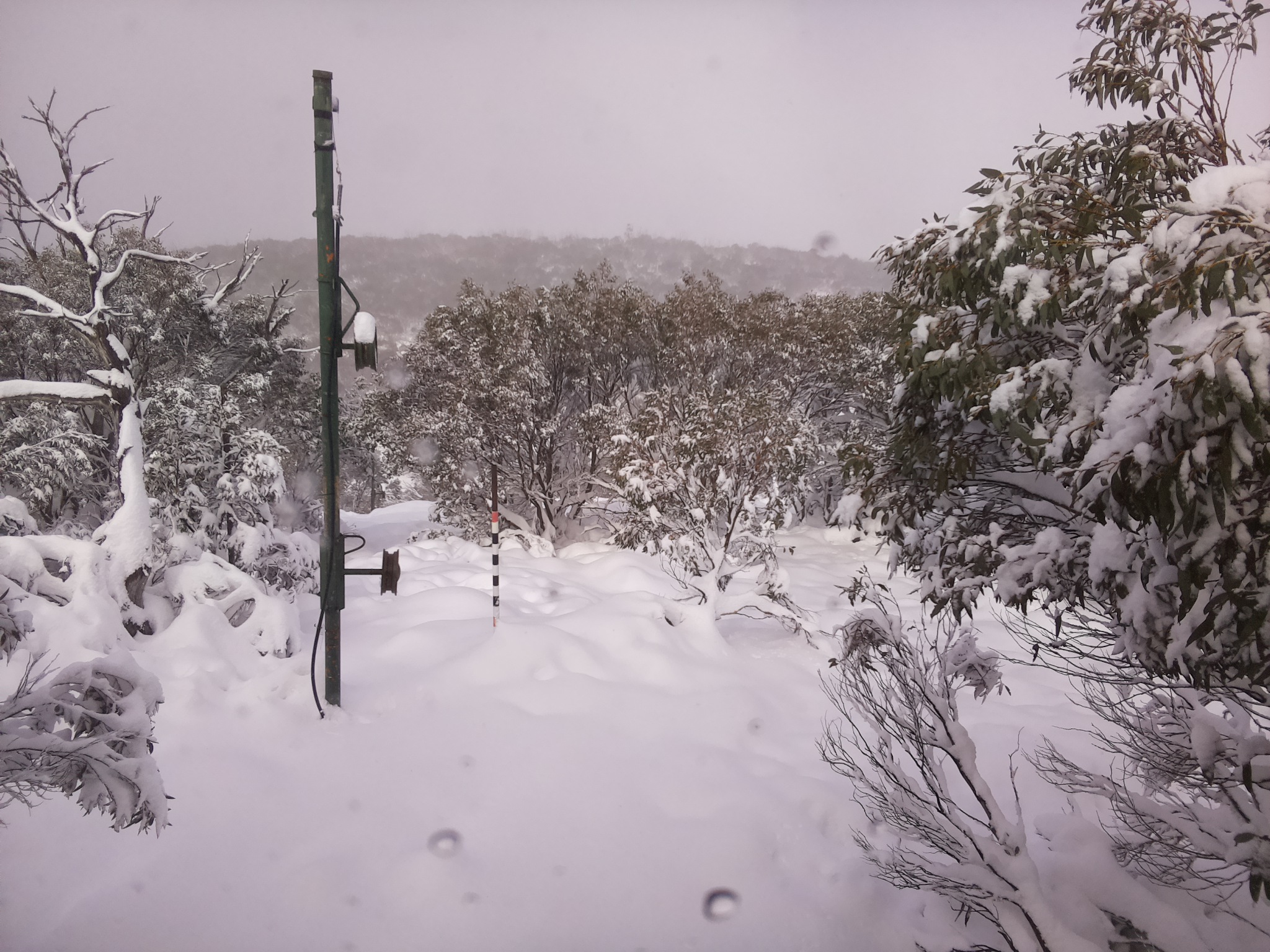 Bogong Web Cam 12:20pm Sunday 8th of June 2025